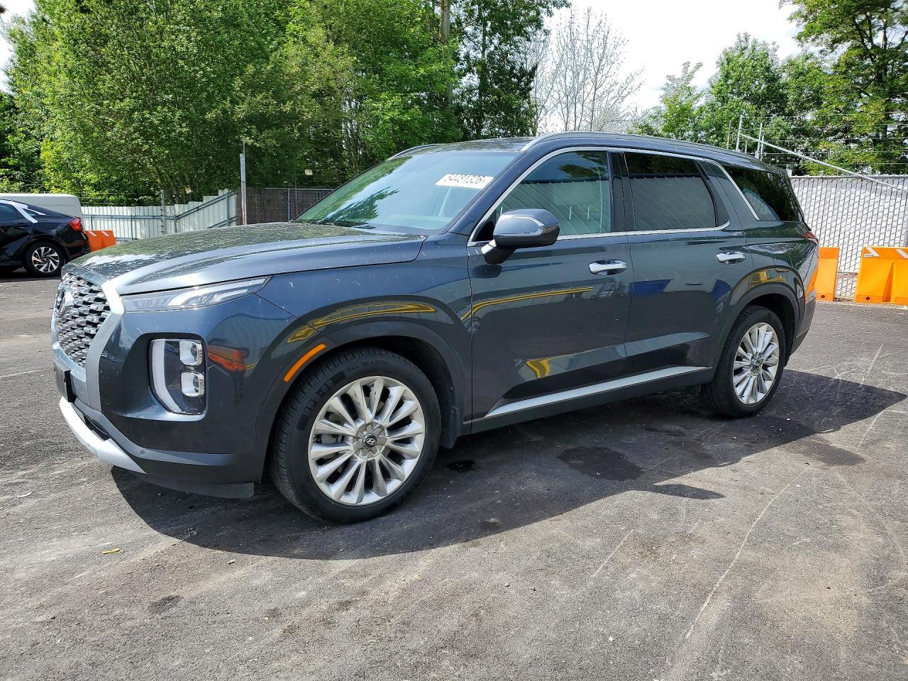 2020 Hyundai Palisade, Sel