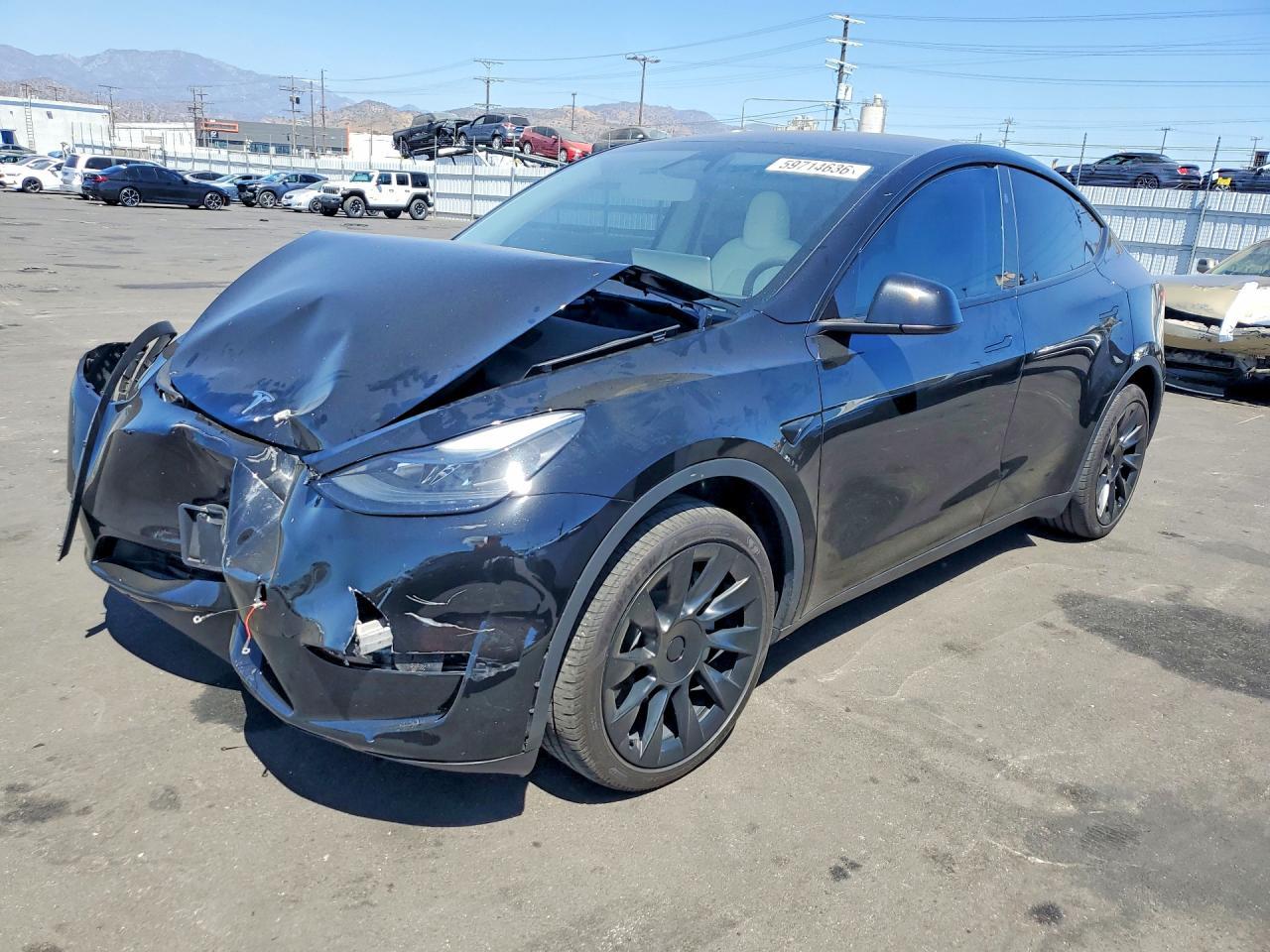 2024 Tesla MODEL Y