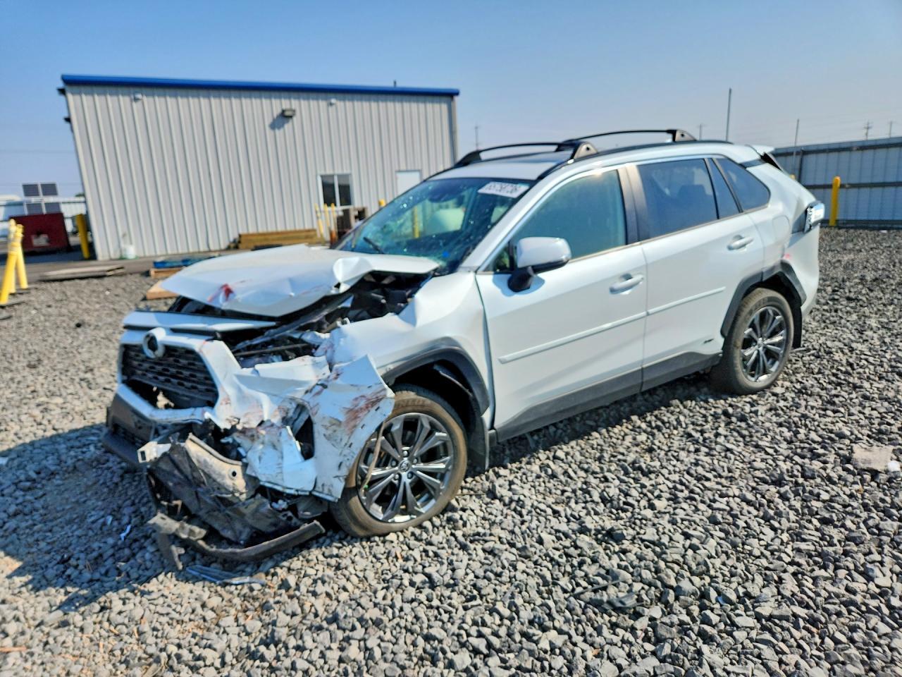 2024 Toyota RAV4, Xle Premium