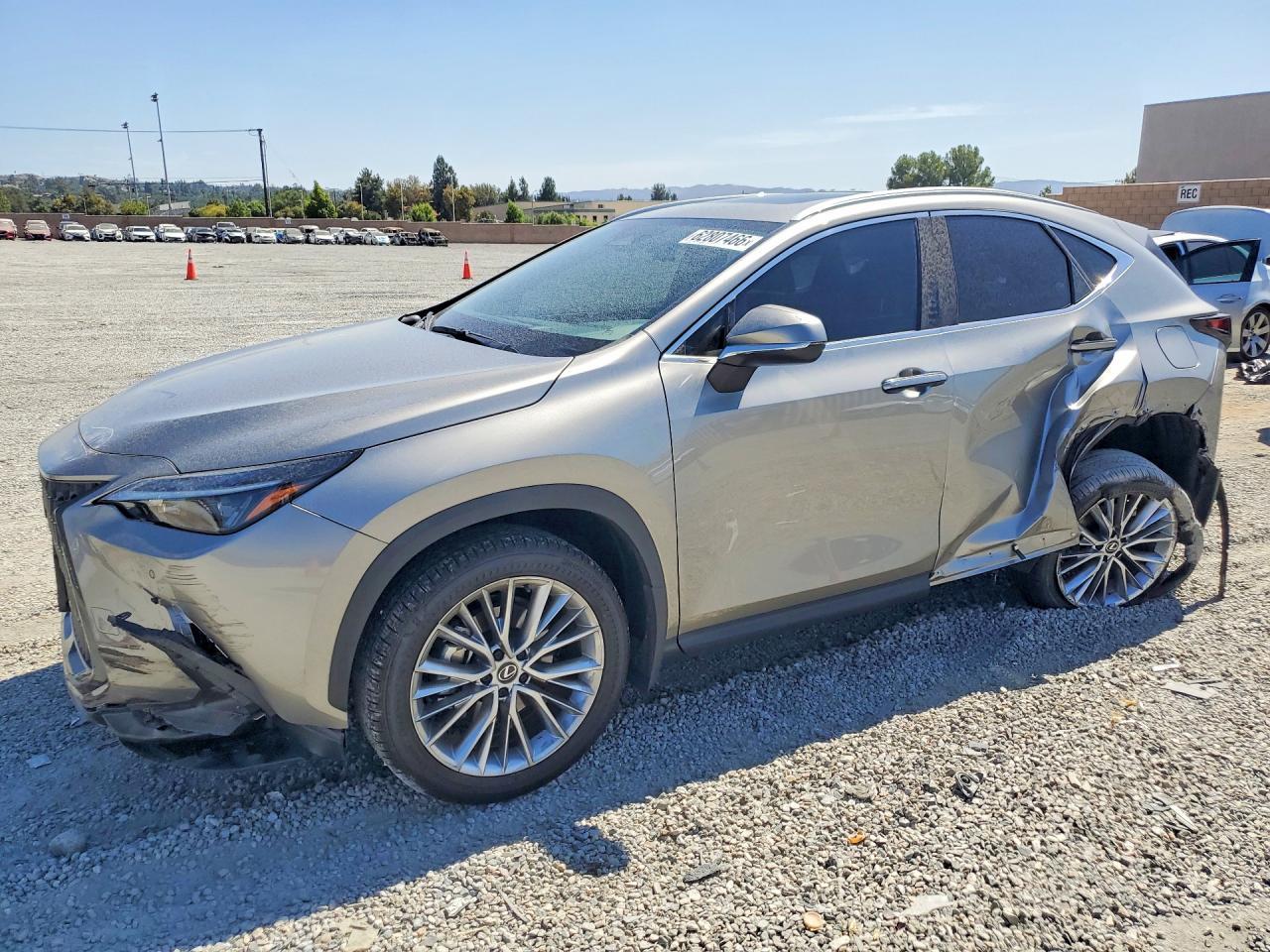 2025 Lexus NX, Premium