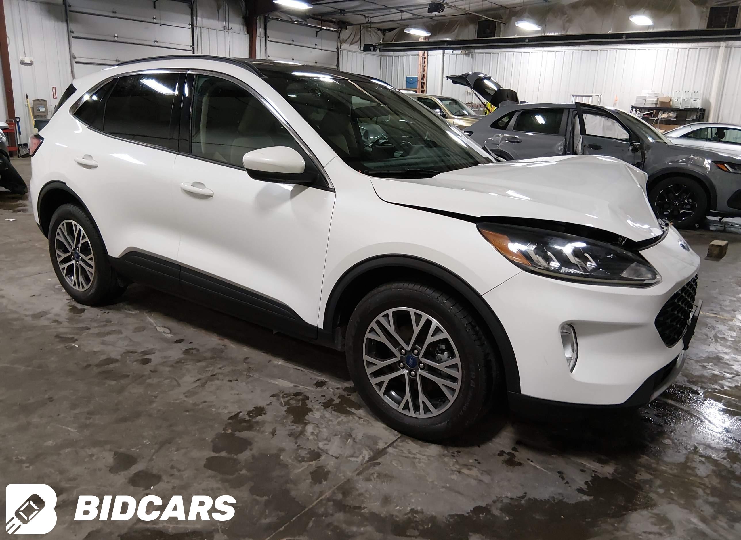 2020 Ford Escape, Sel
