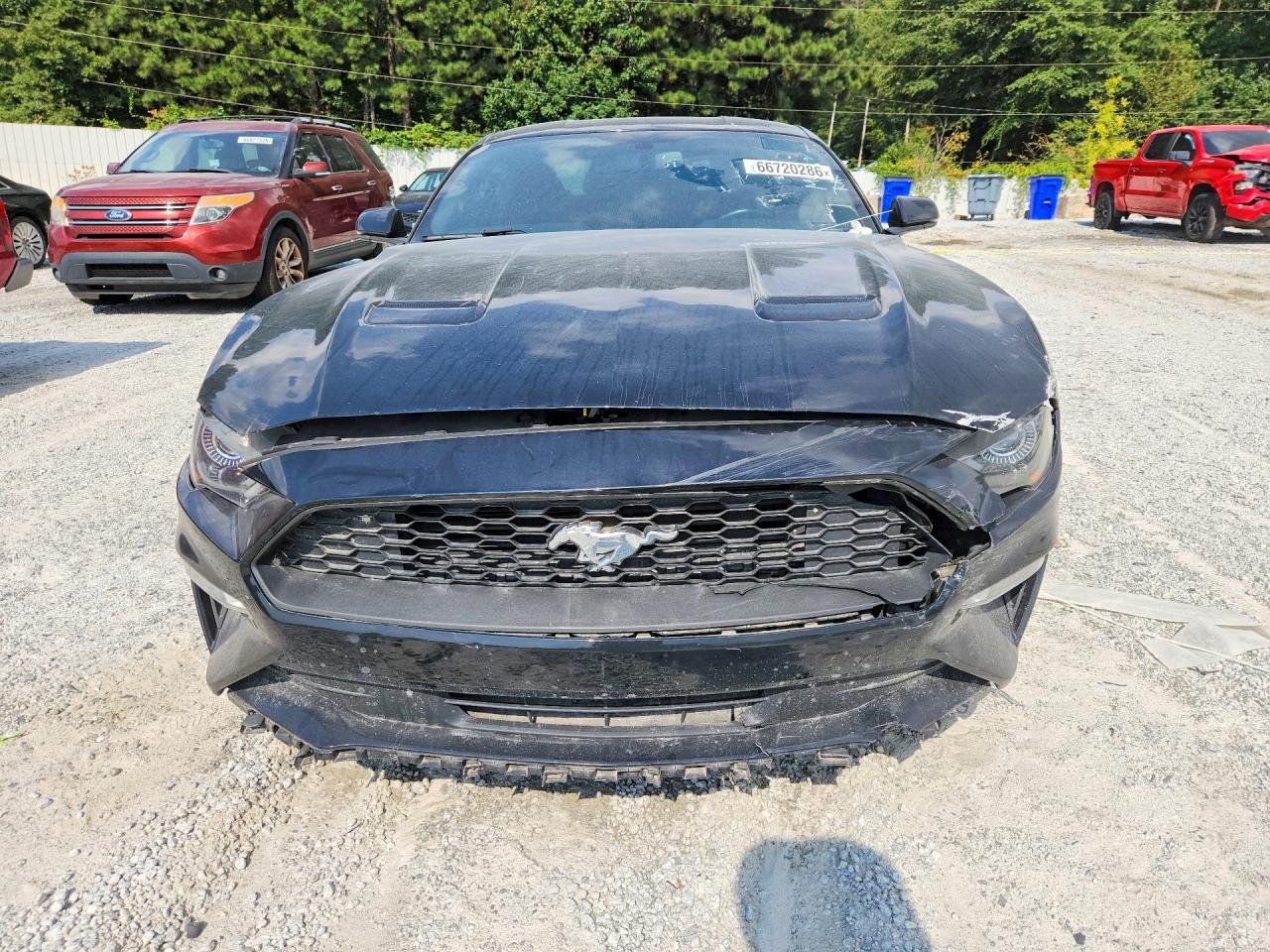 2019 Ford Mustang