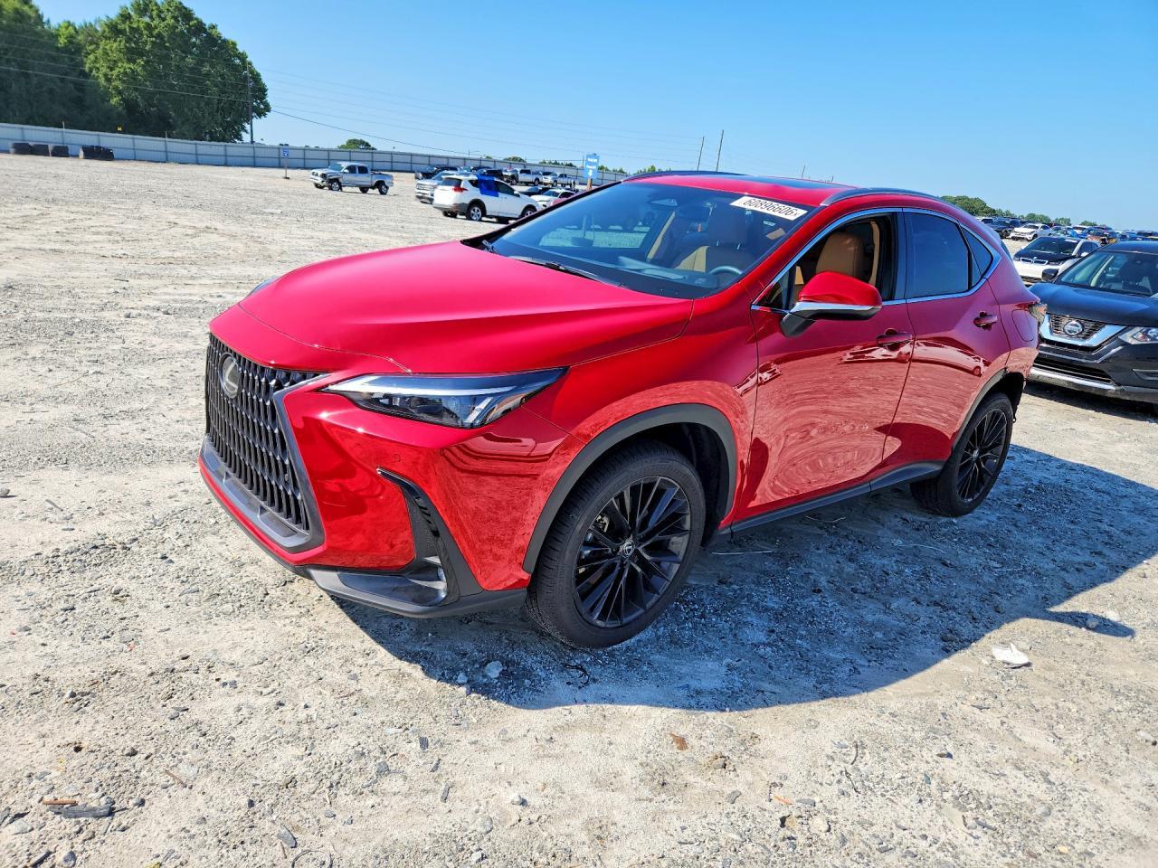2025 Lexus NX, Premium