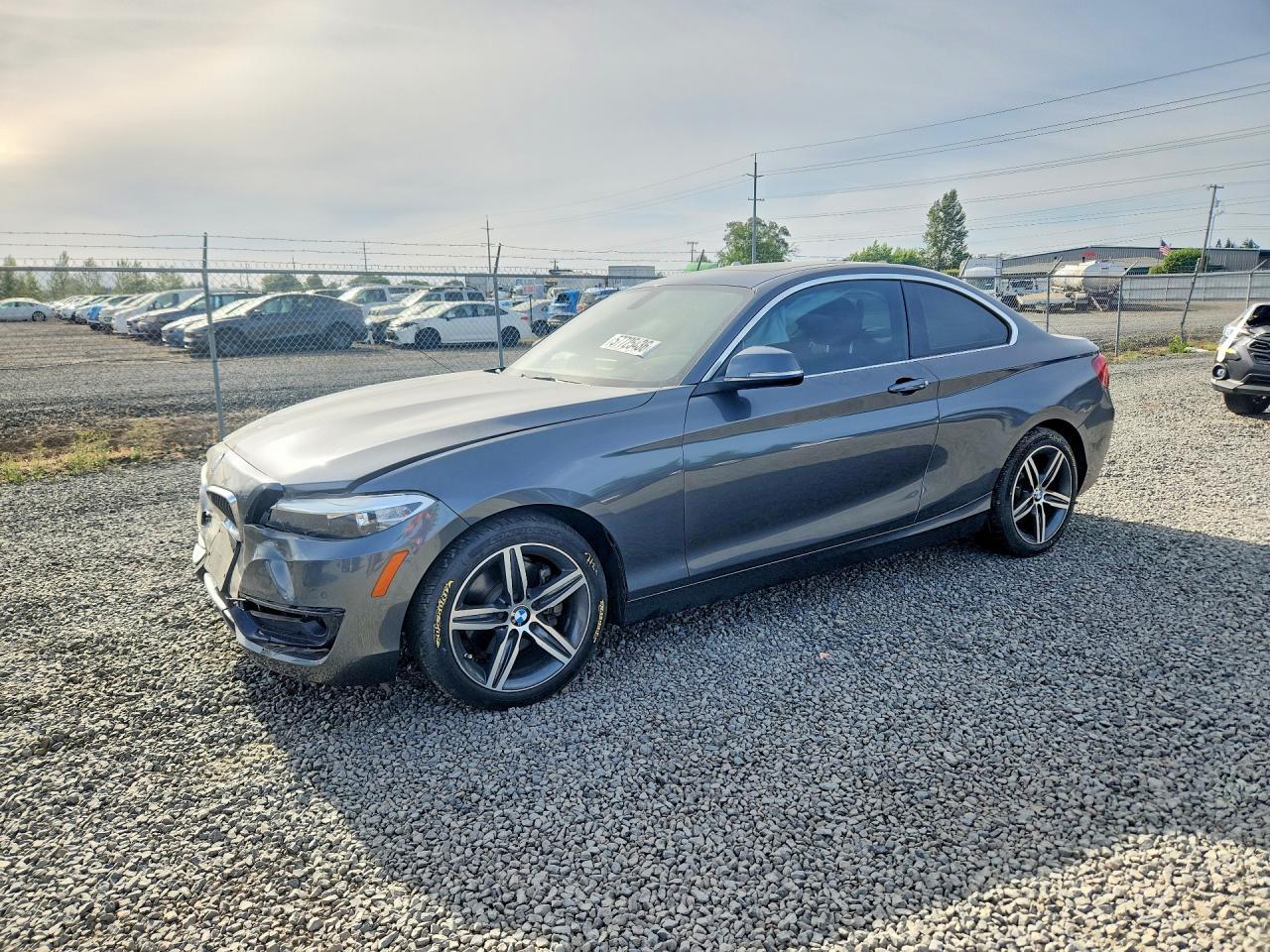 2017 BMW 2 Series, 230XI