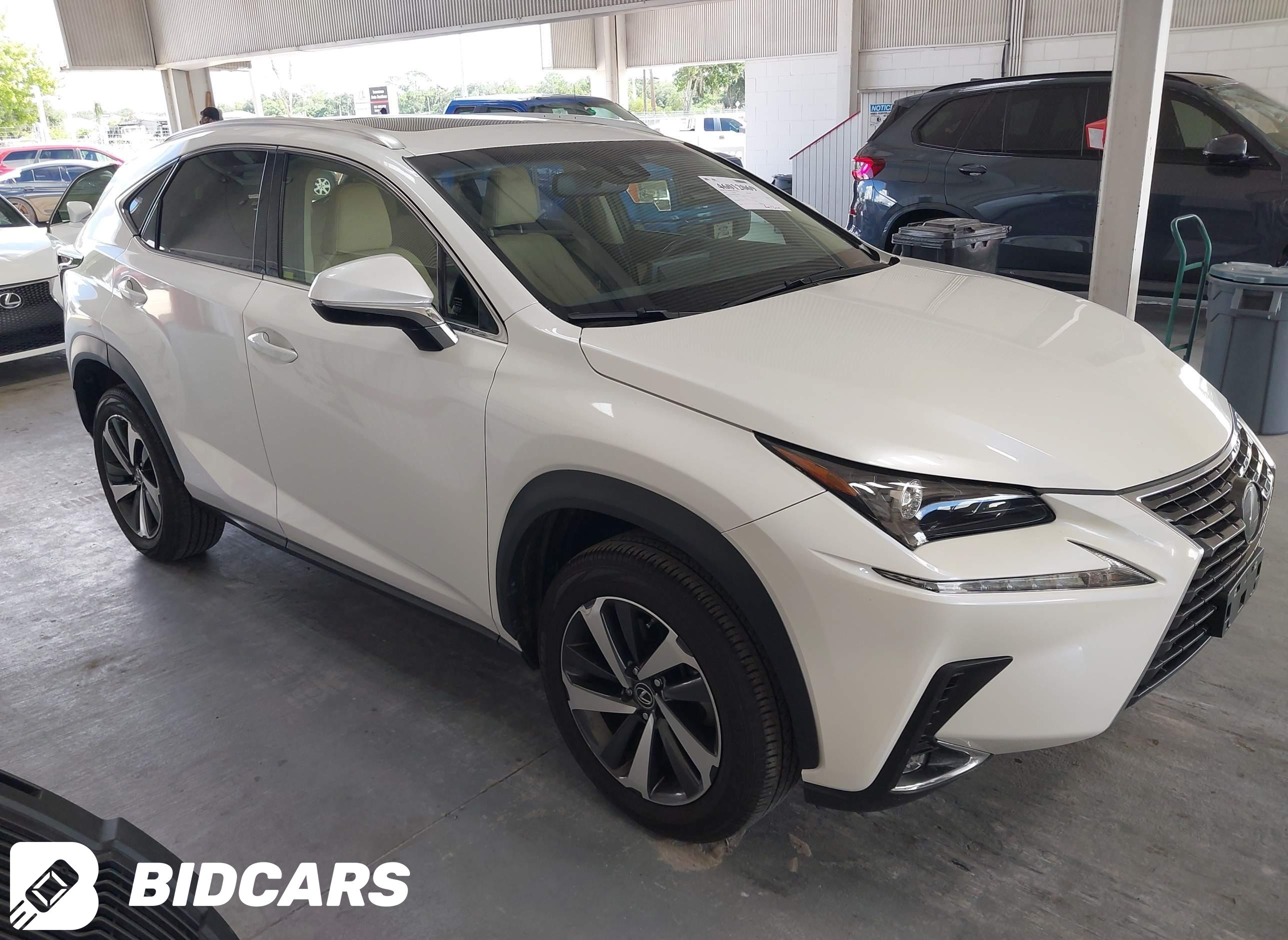 2019 Lexus NX 300