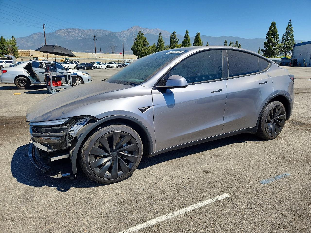2026 Tesla MODEL Y