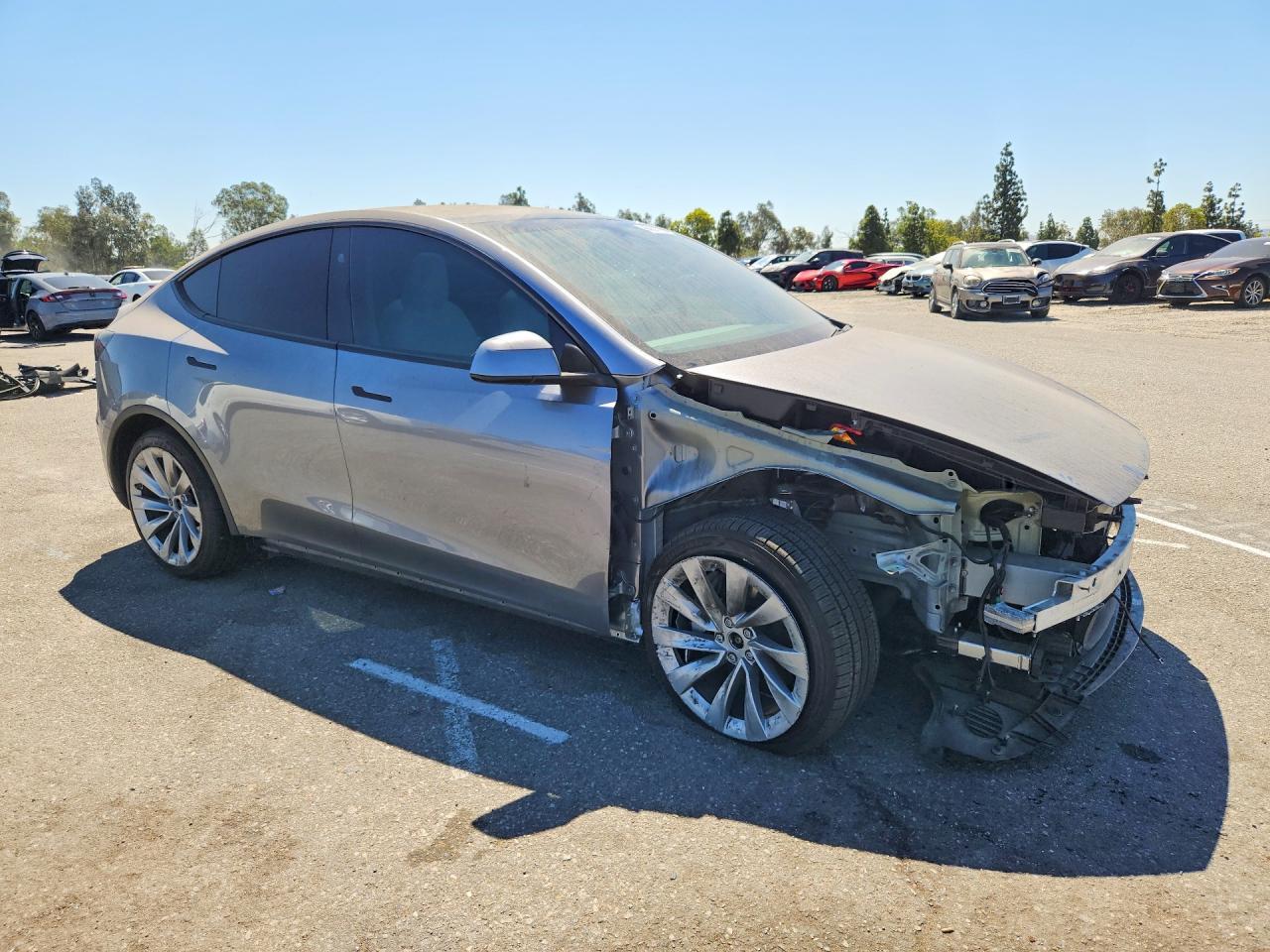 2026 Tesla MODEL Y