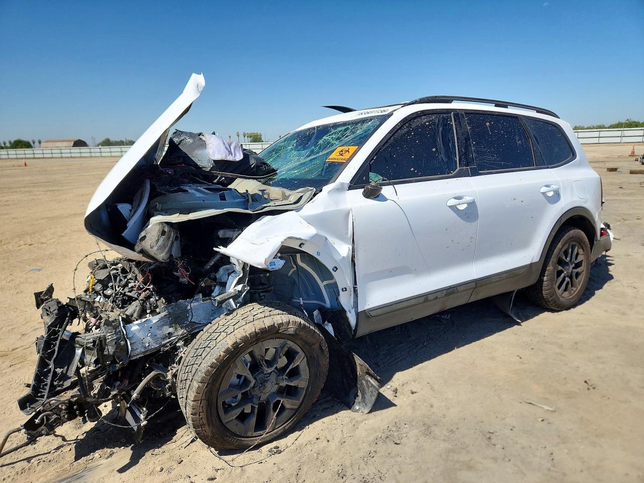 2025 KIA Telluride, Sx-Presti...