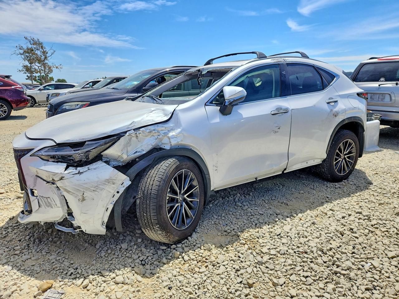 2025 Lexus NX, 250 Premium
