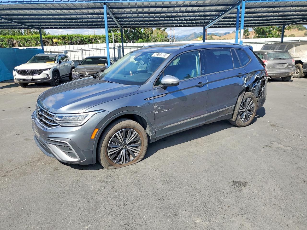 2024 Volkswagen Tiguan, Wolfs...