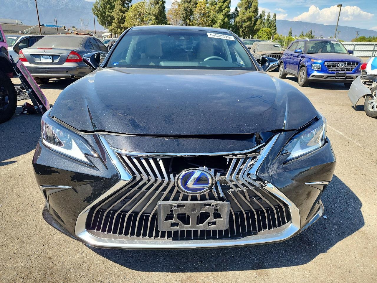 2020 Lexus ES, 300H