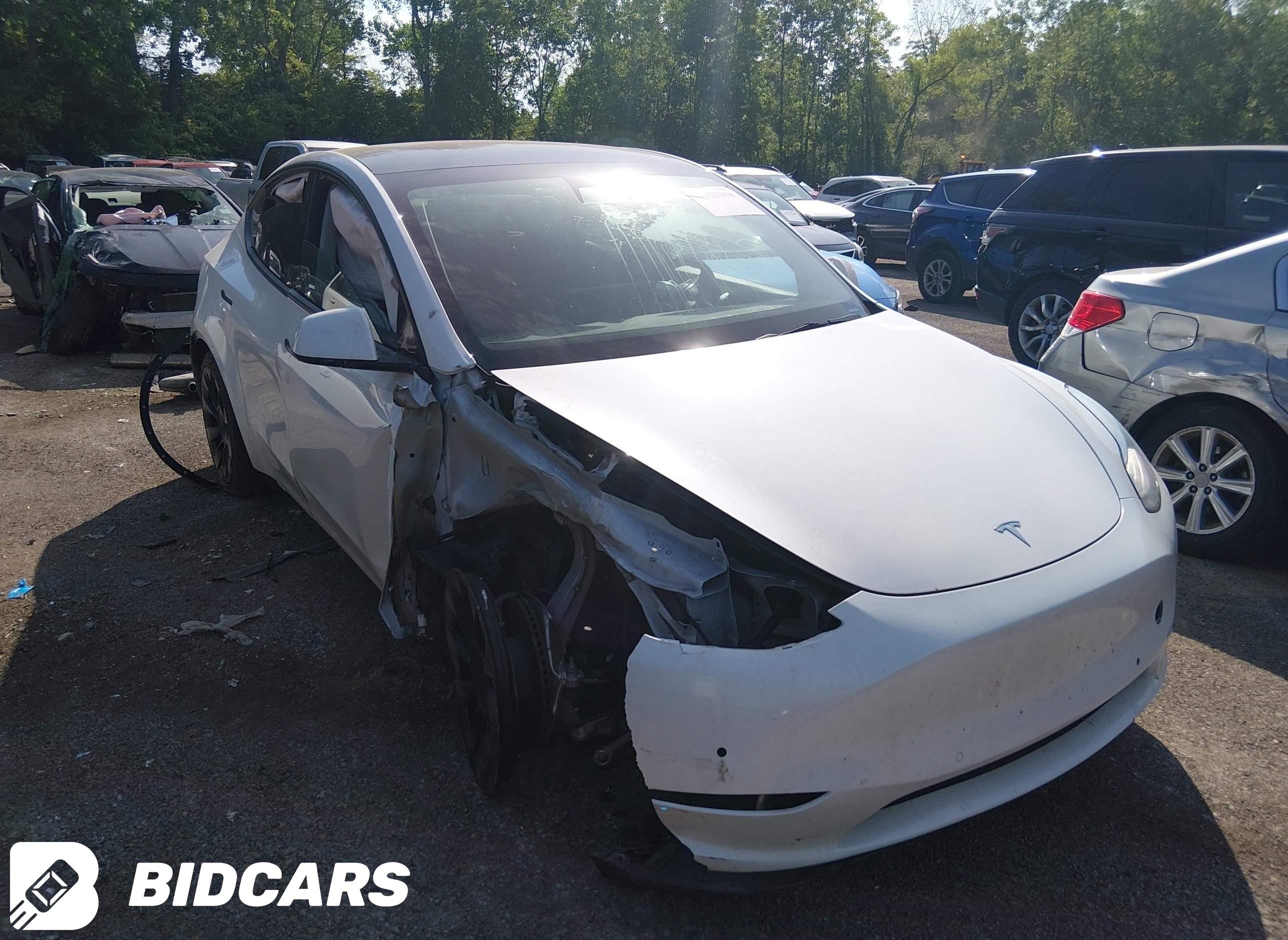 2021 Tesla Model Y, Long Rang...