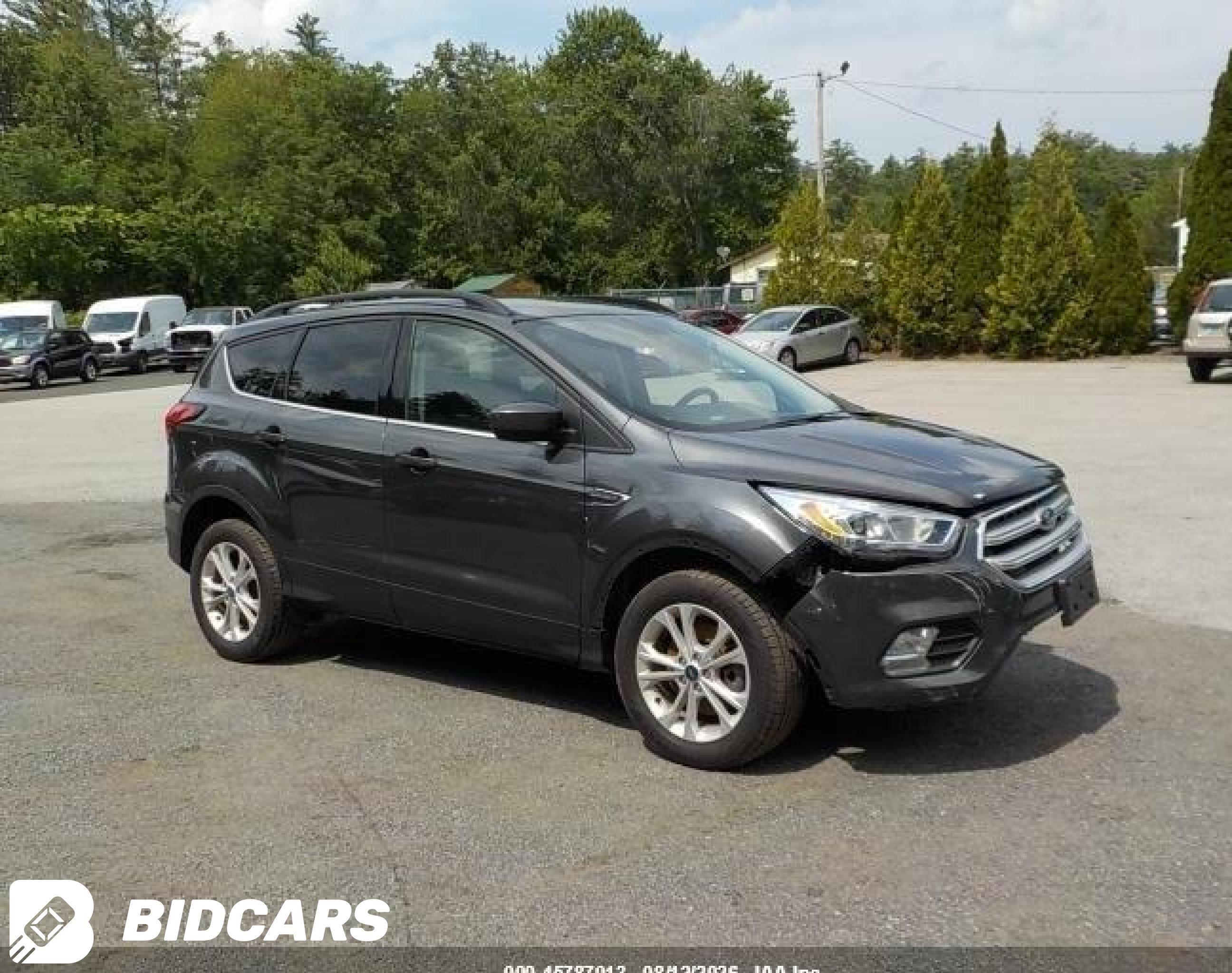 2019 Ford Escape, Sel