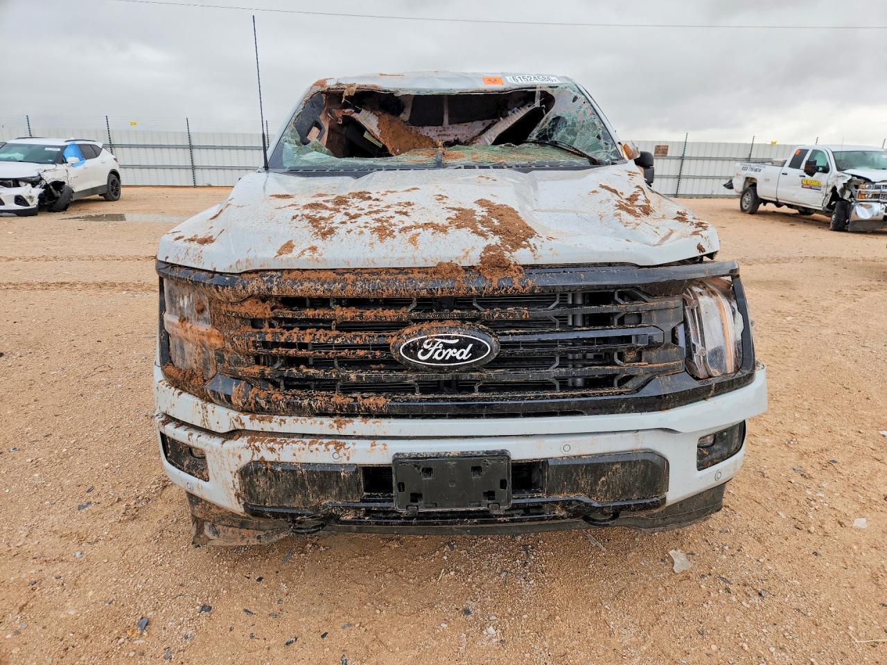 2024 Ford F-150, Xlt