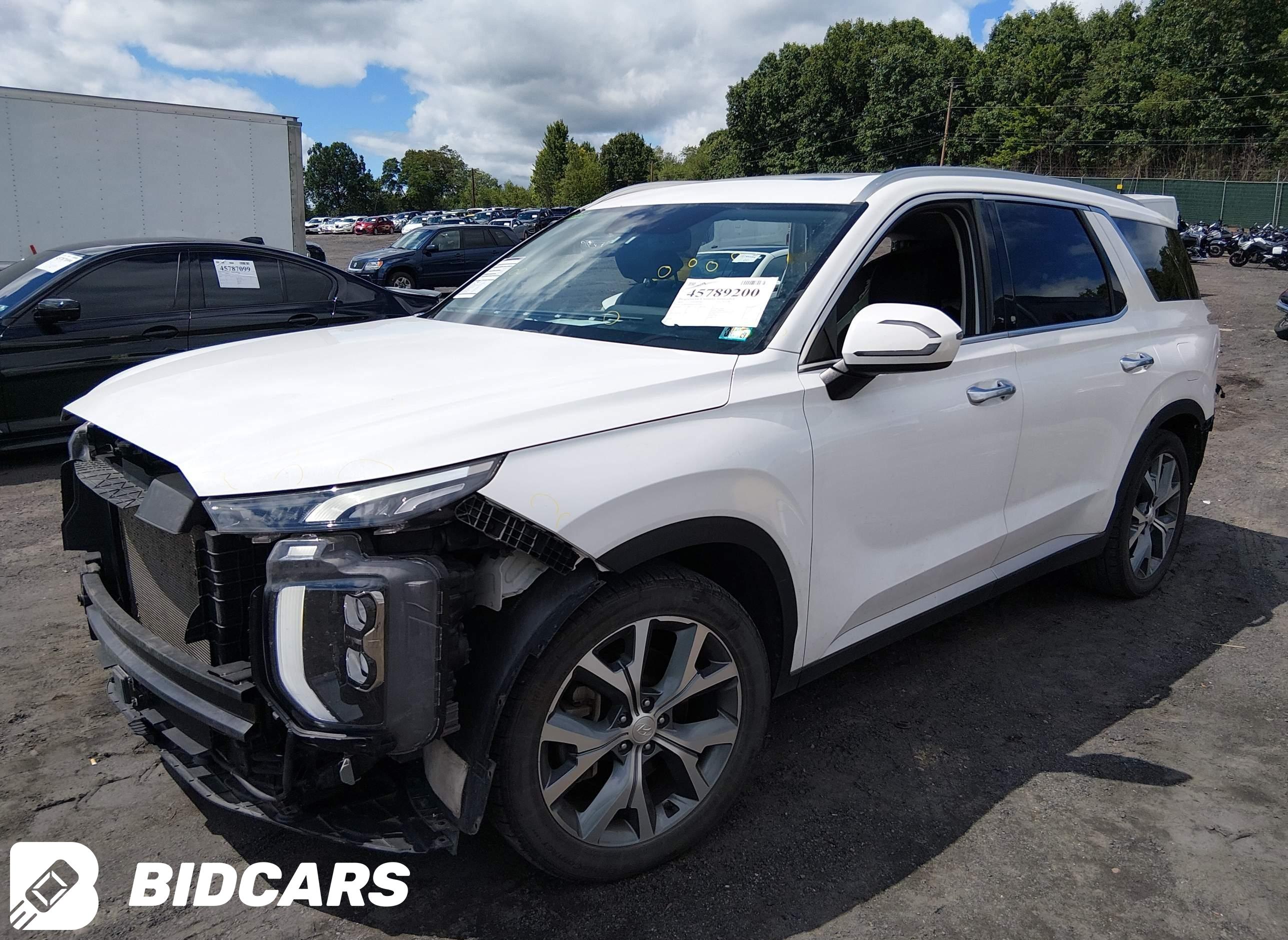 2020 Hyundai Palisade, Sel