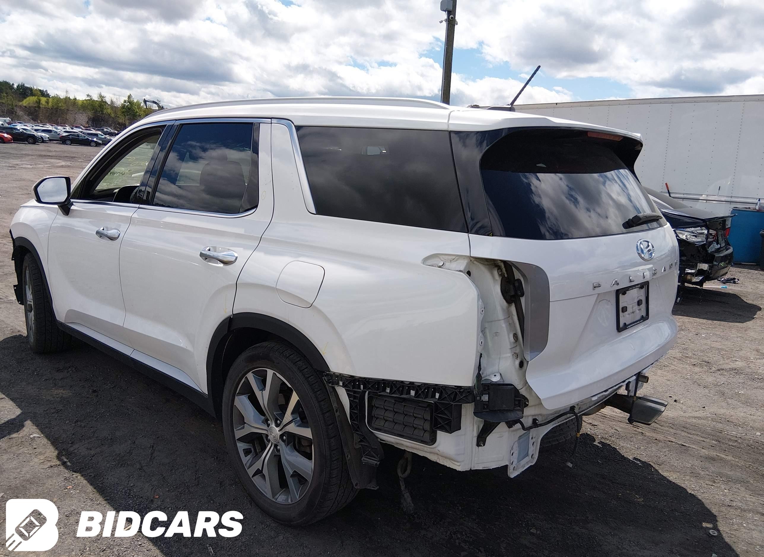 2020 Hyundai Palisade, Sel