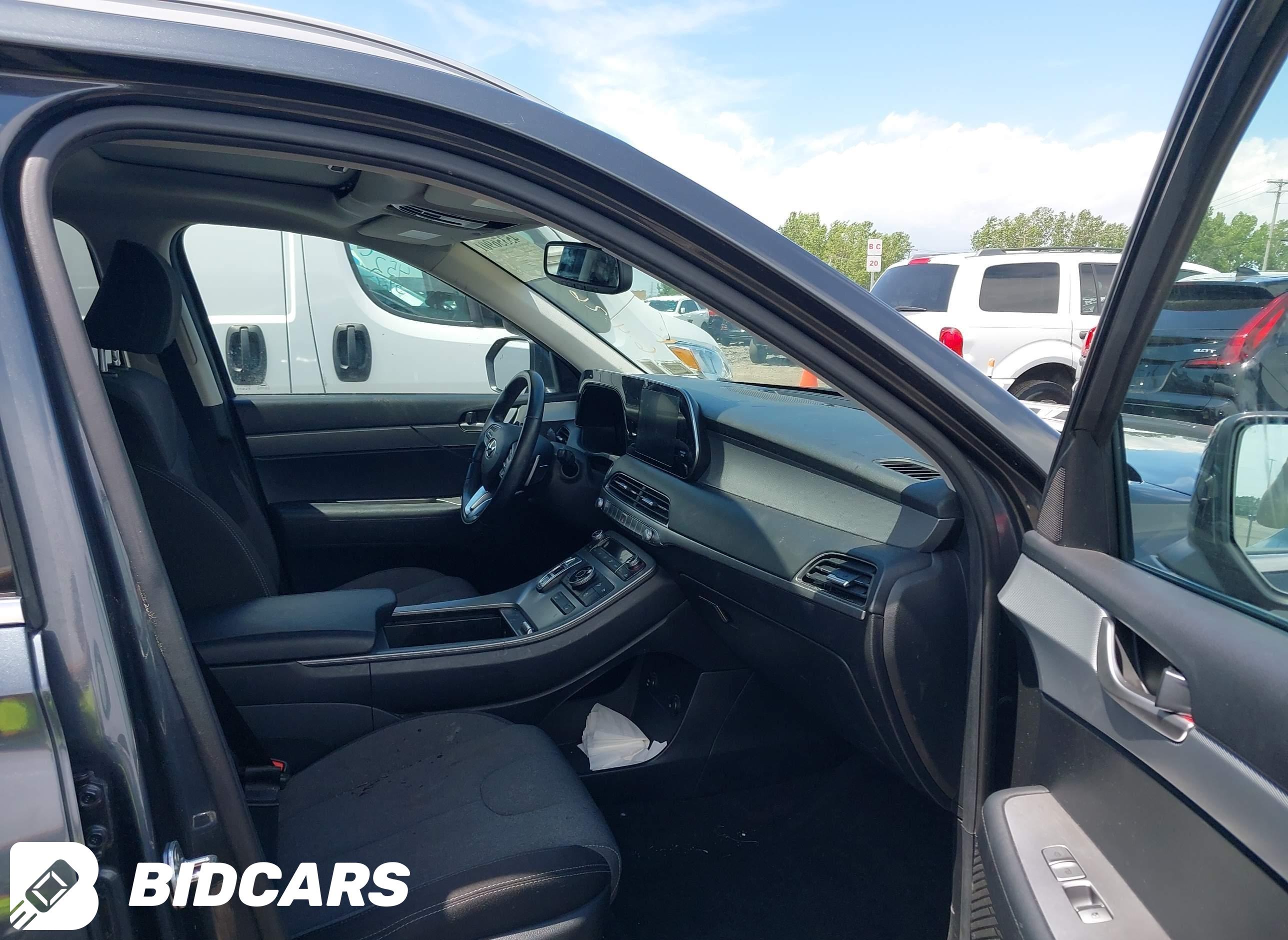 2020 Hyundai Palisade, Sel