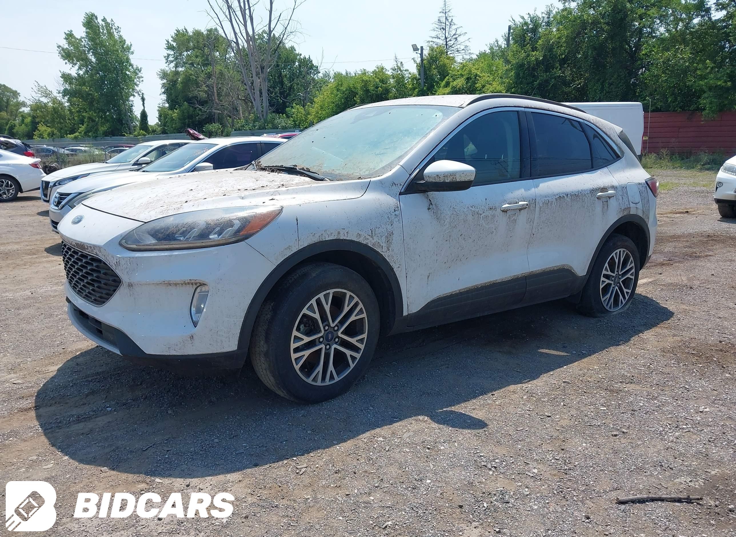 2020 Ford Escape, Sel