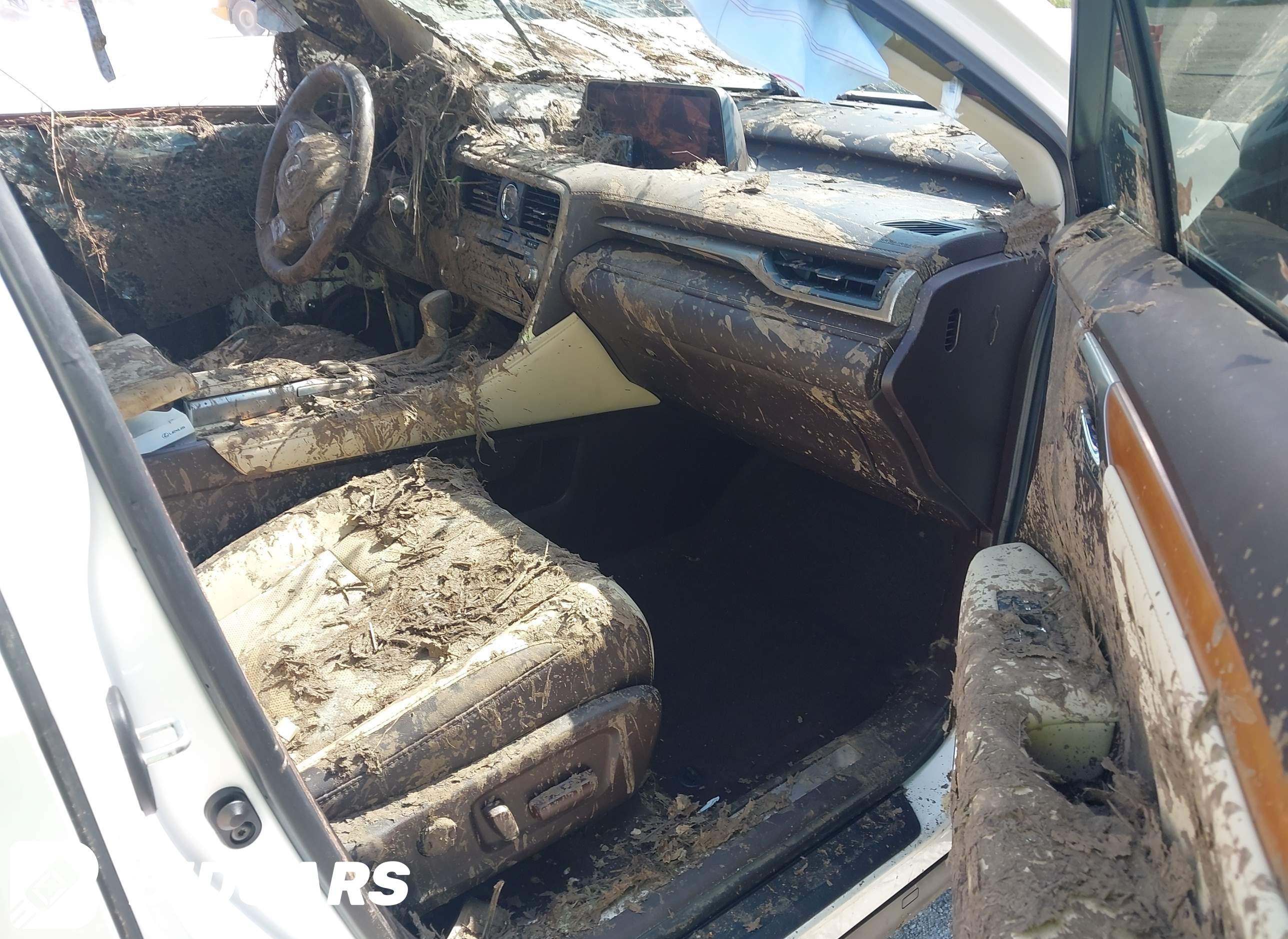 2016 Lexus RX, 350