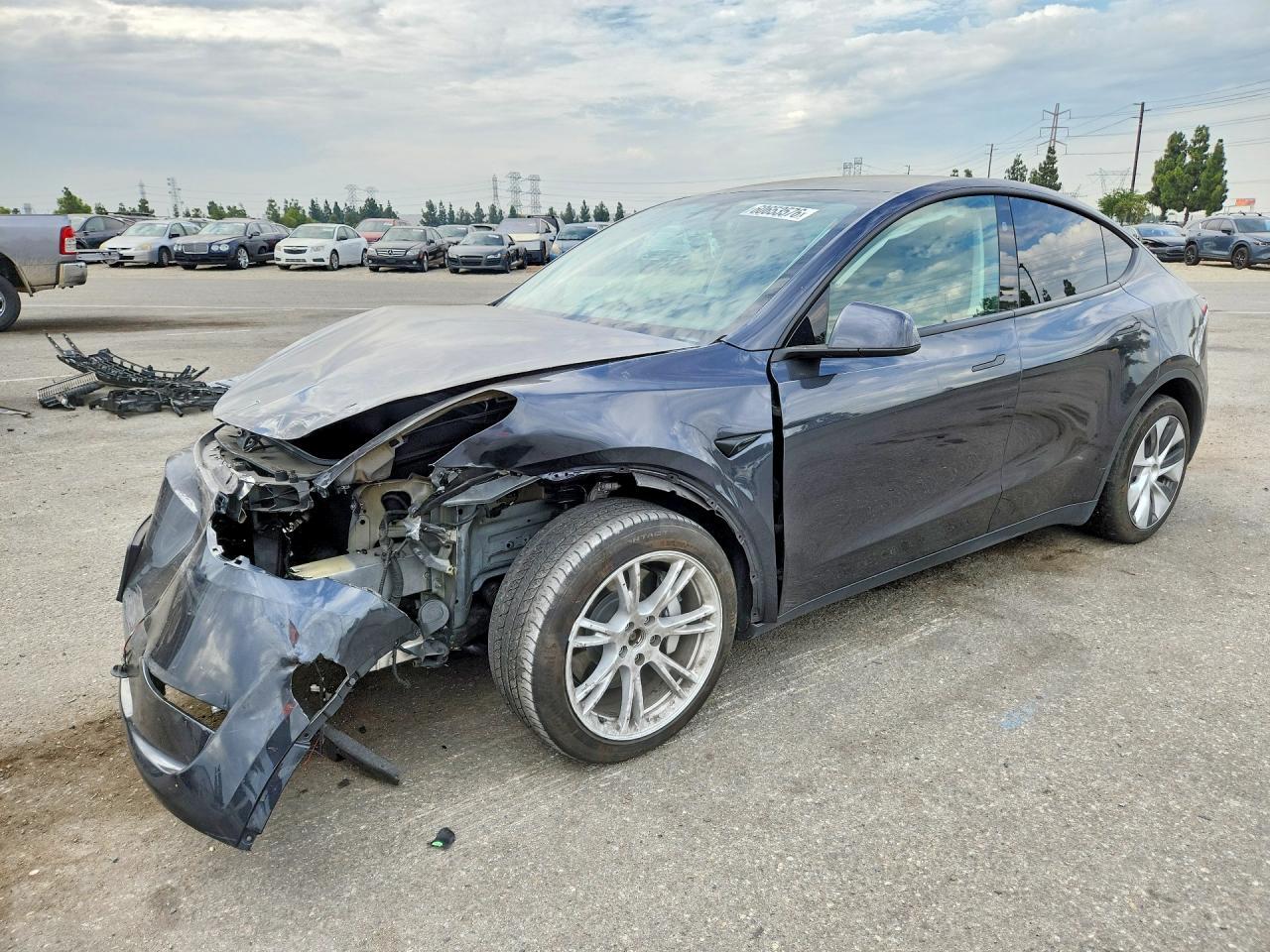2024 Tesla MODEL Y