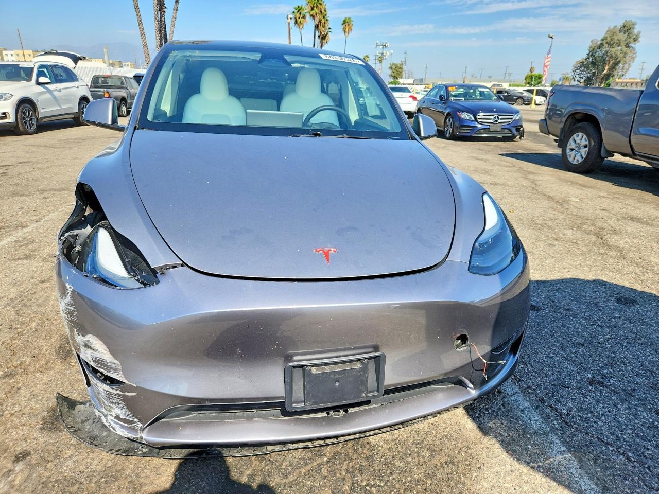 2025 Tesla MODEL Y