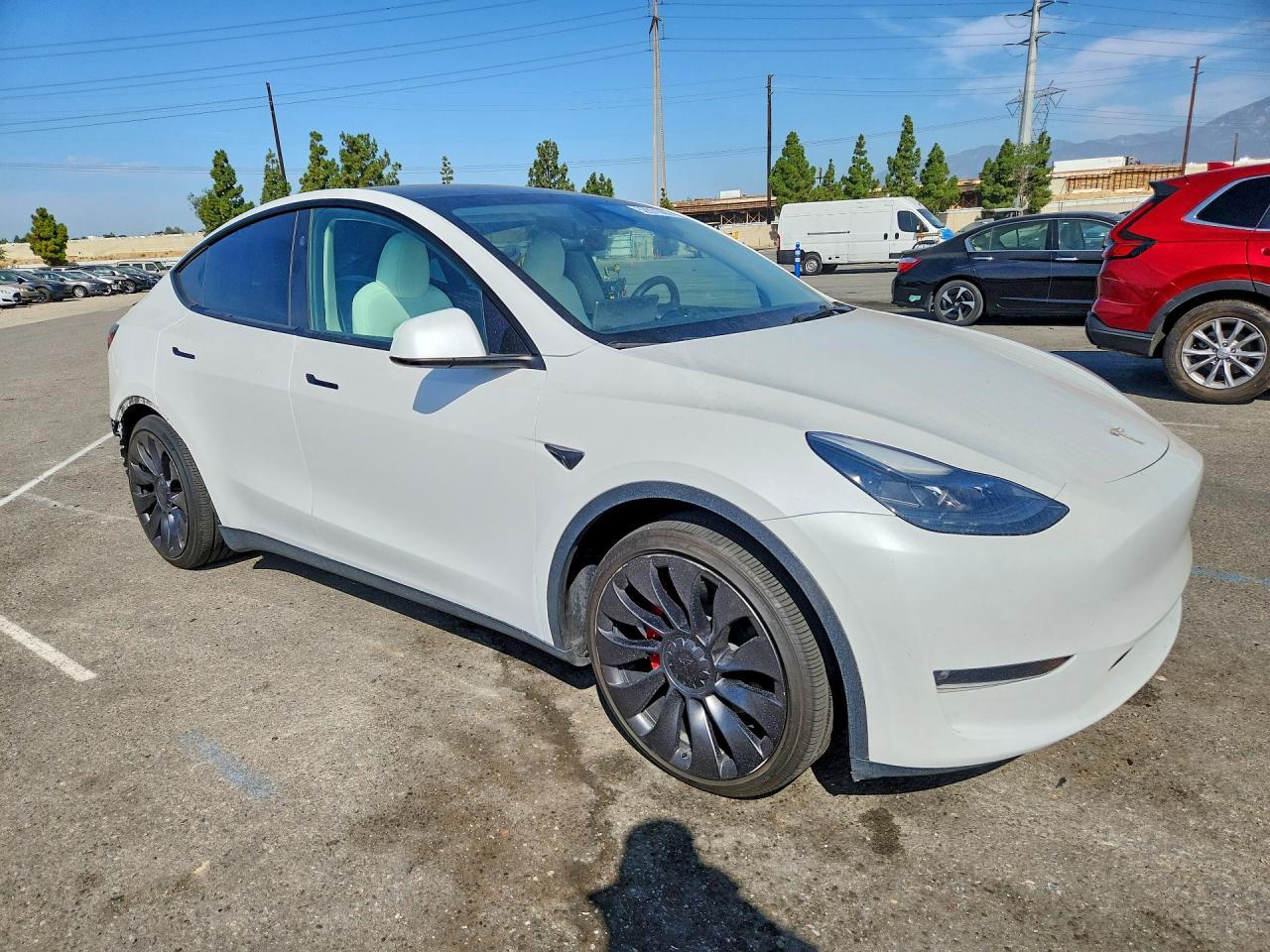 2024 Tesla MODEL Y