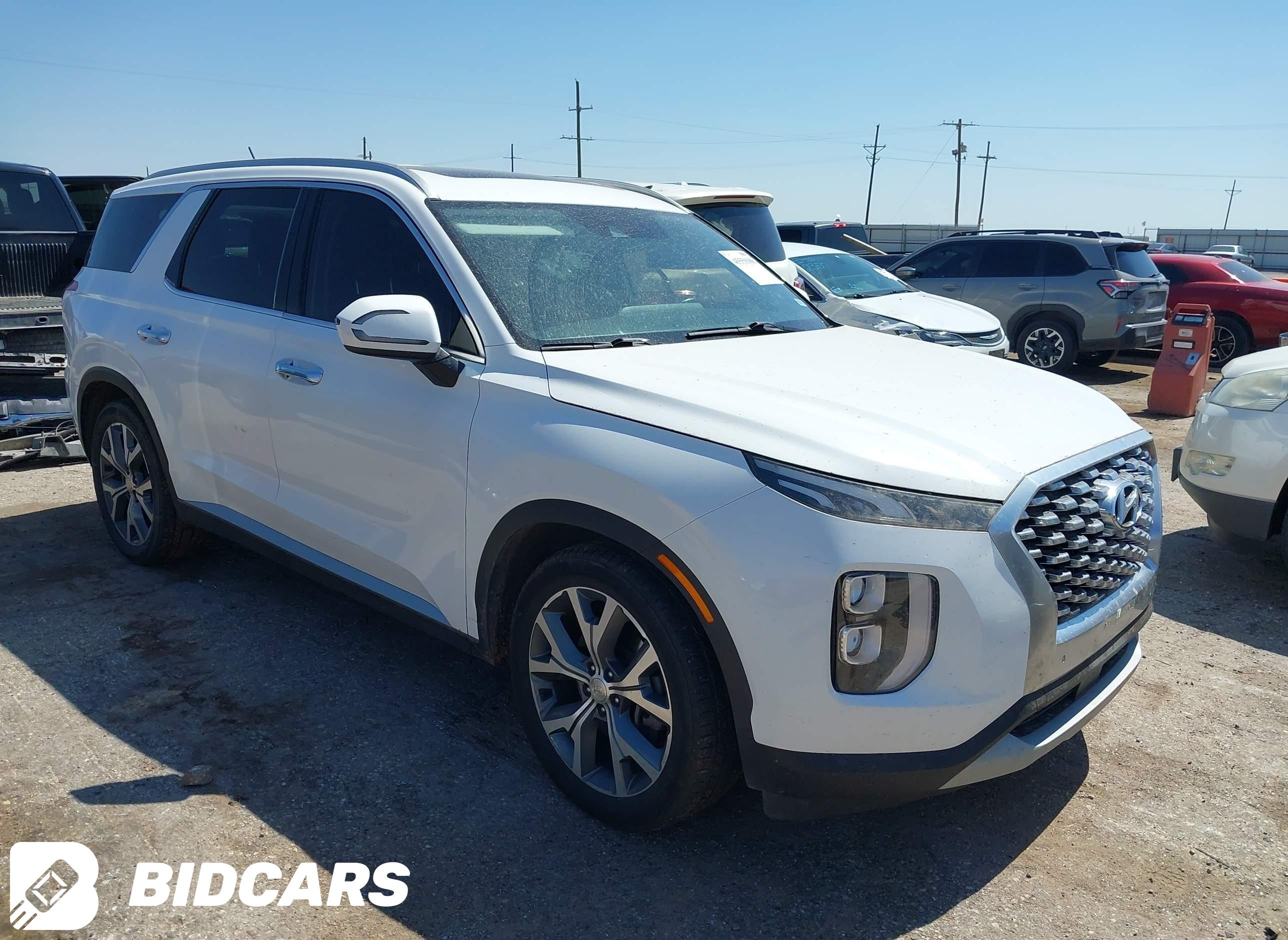2020 Hyundai Palisade, Sel