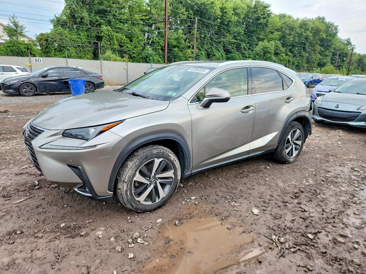 2019 Lexus NX, Base
