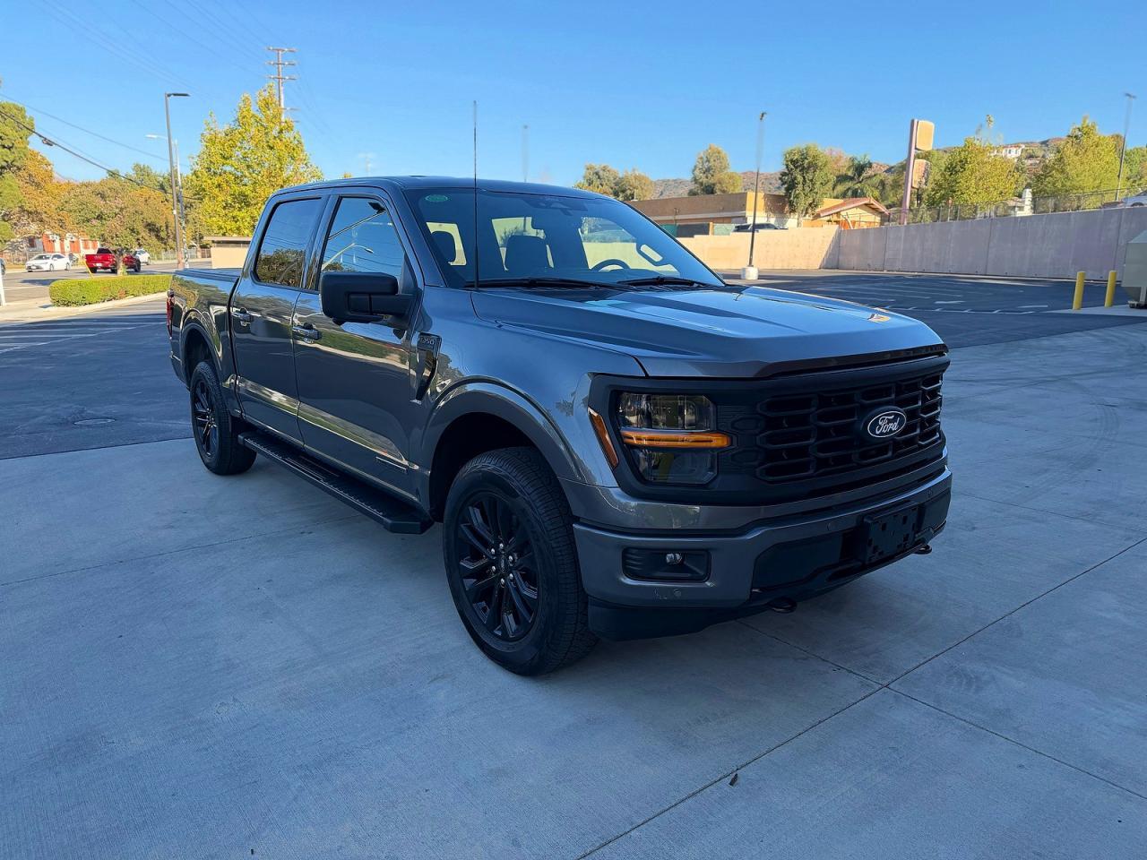 2025 Ford F-150, Xlt