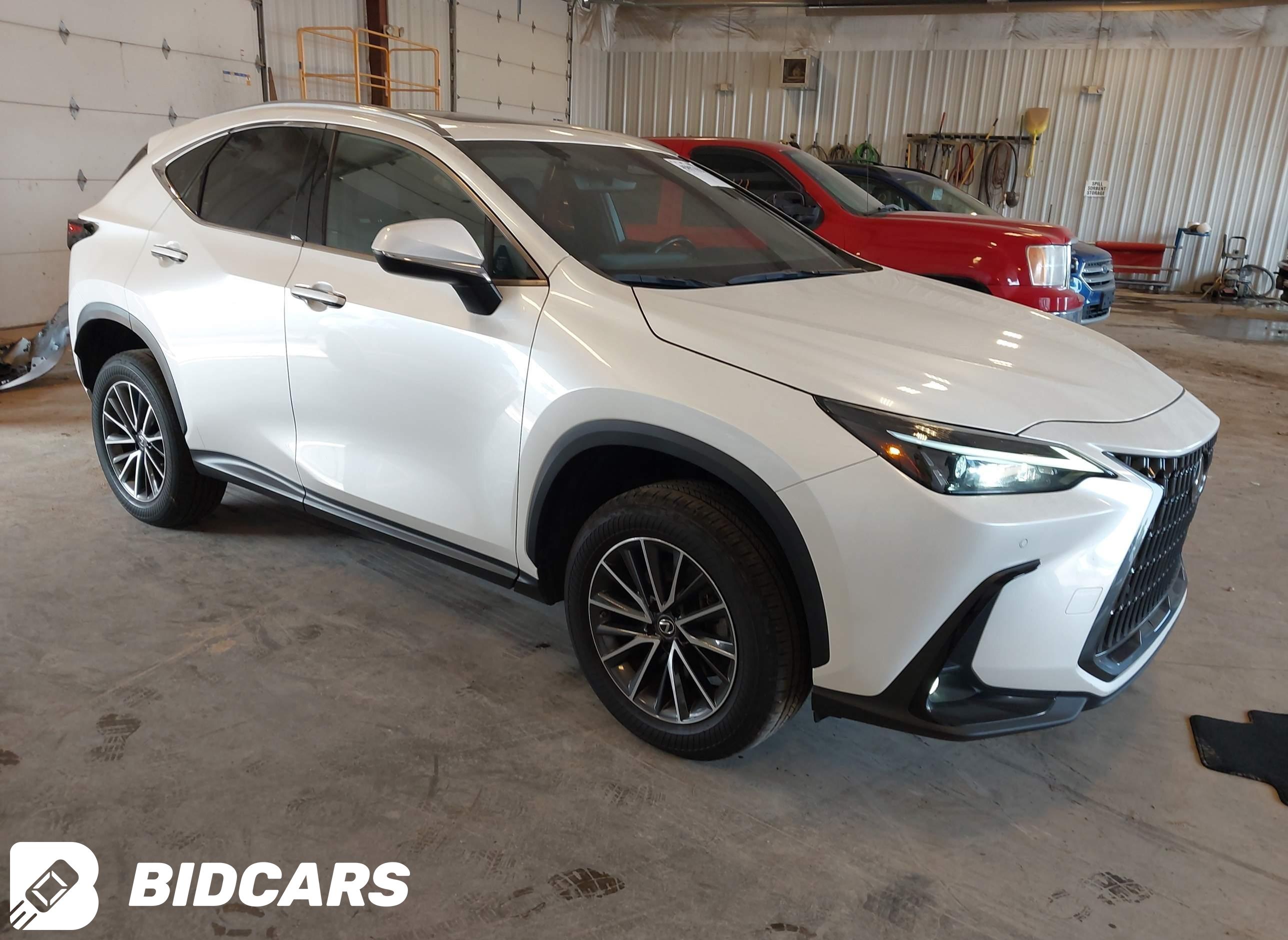 2022 Lexus NX 250, Premium