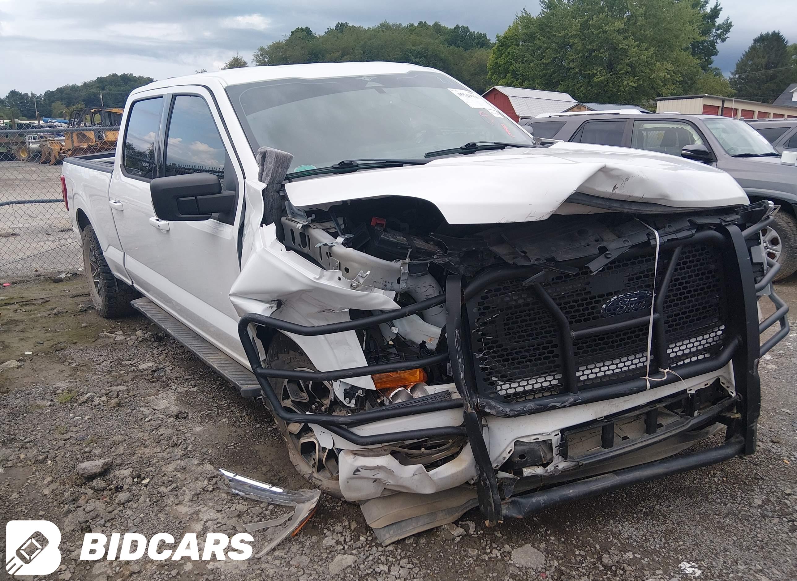 2023 Ford F-150, Xlt