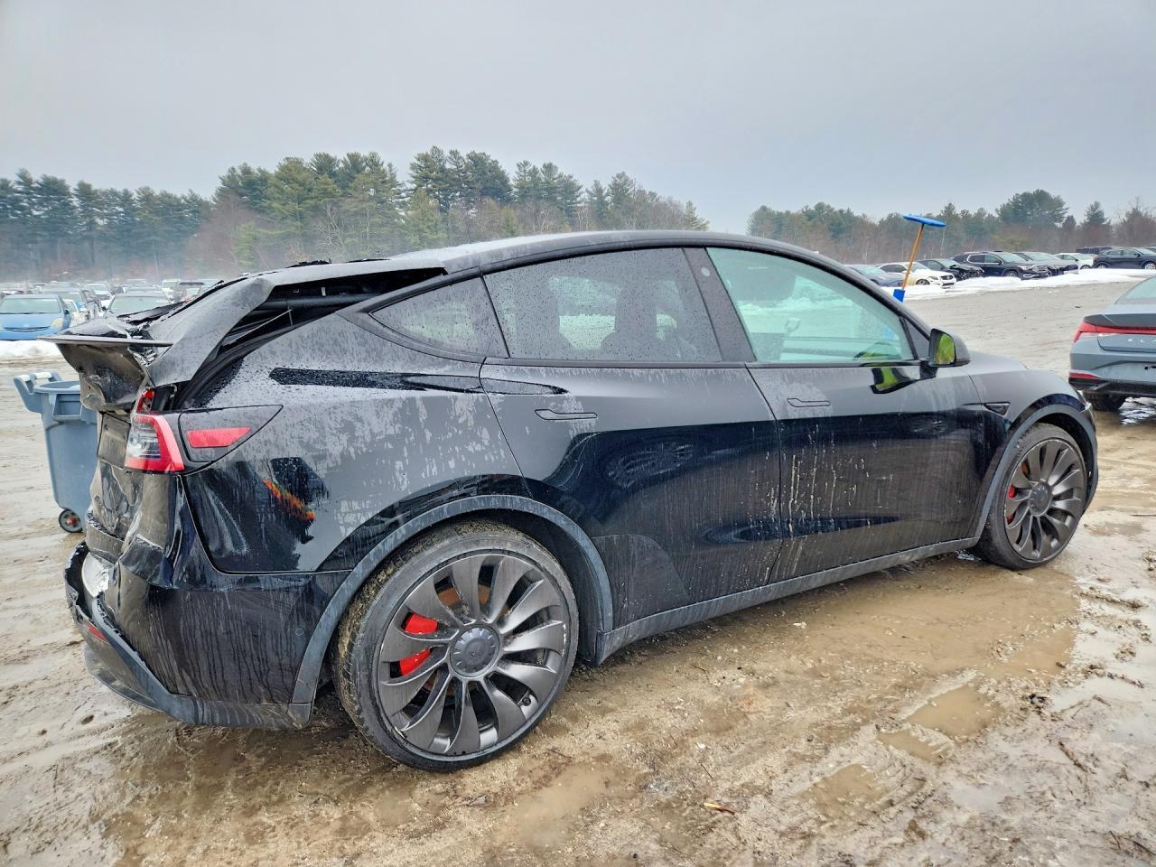 2022 Tesla MODEL Y