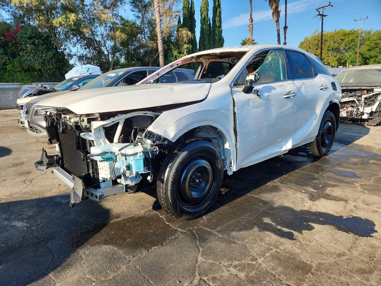 2025 Lexus RX, Premium