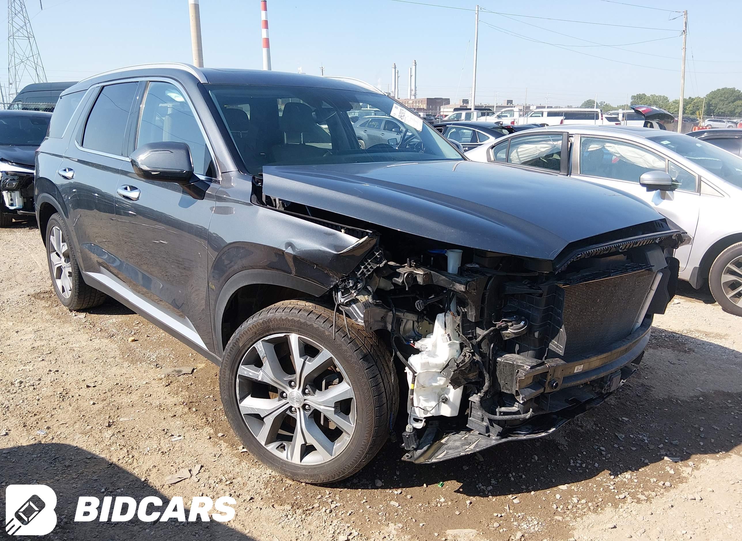 2020 Hyundai Palisade, Sel