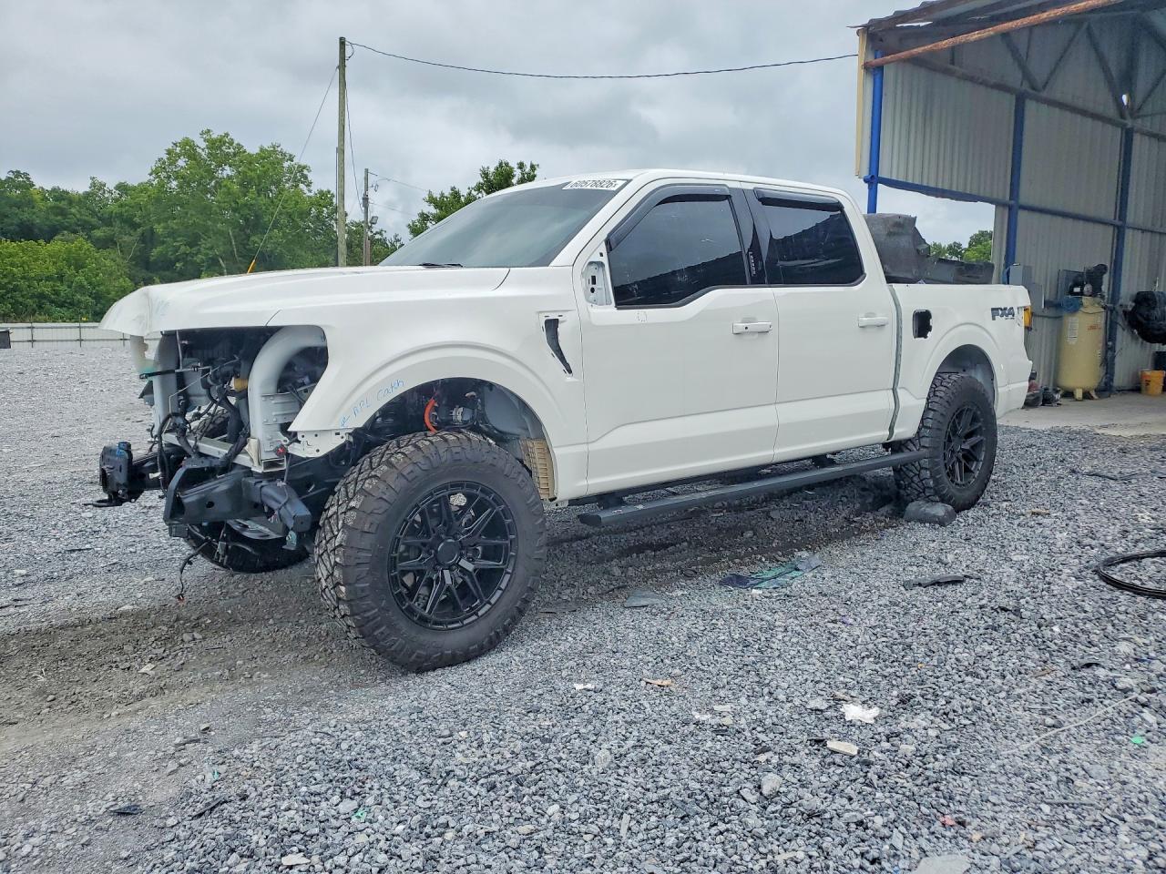 2026 Ford F-150, Platinum