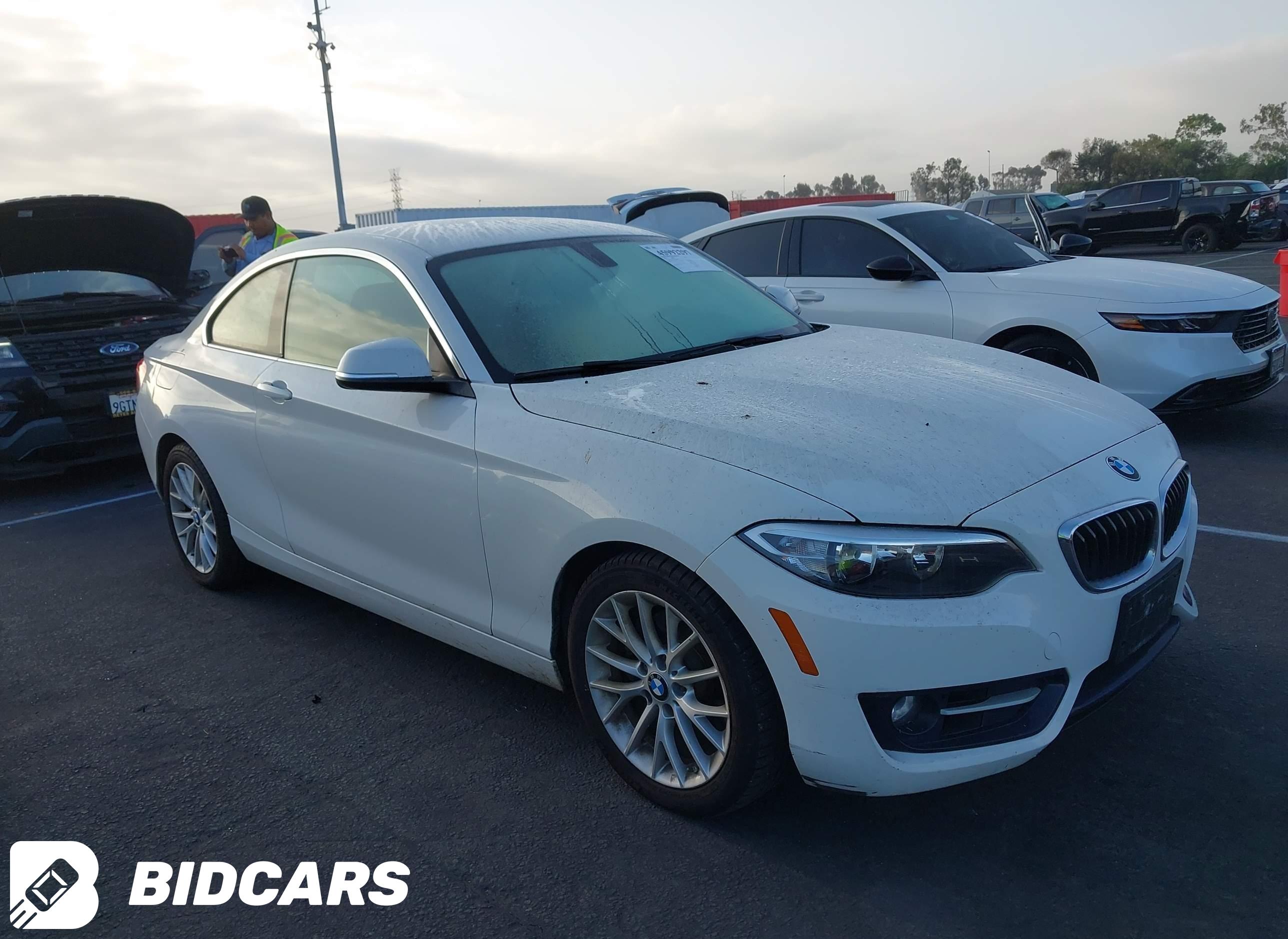 2016 BMW 2 Series, 228I