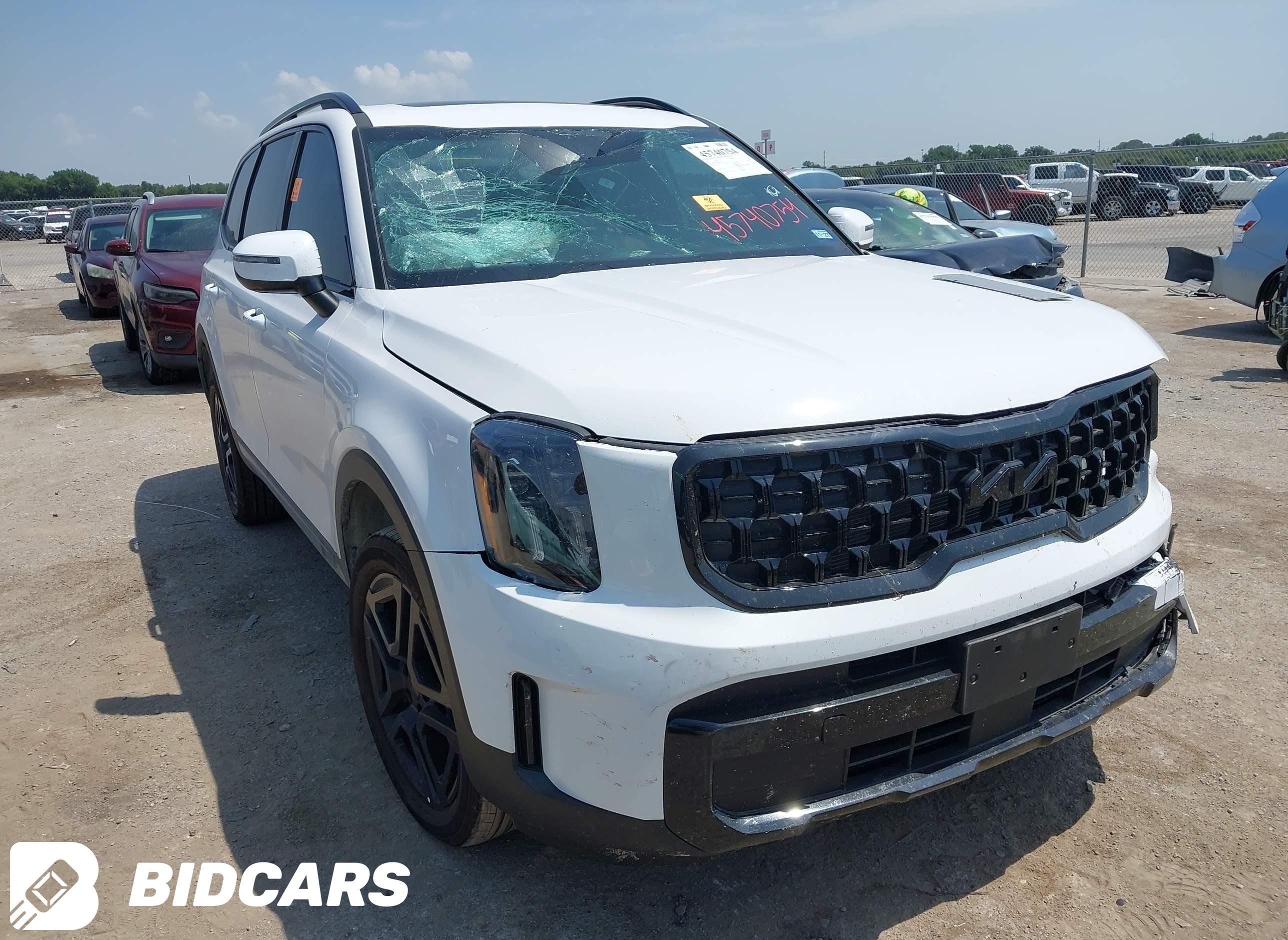 2025 KIA Telluride, Ex X-Line