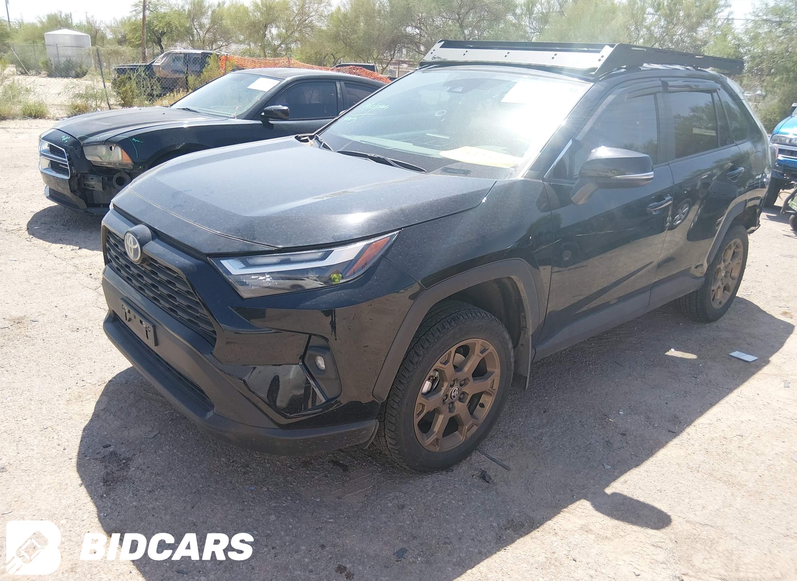 2024 Toyota RAV4, Hybrid Wood...