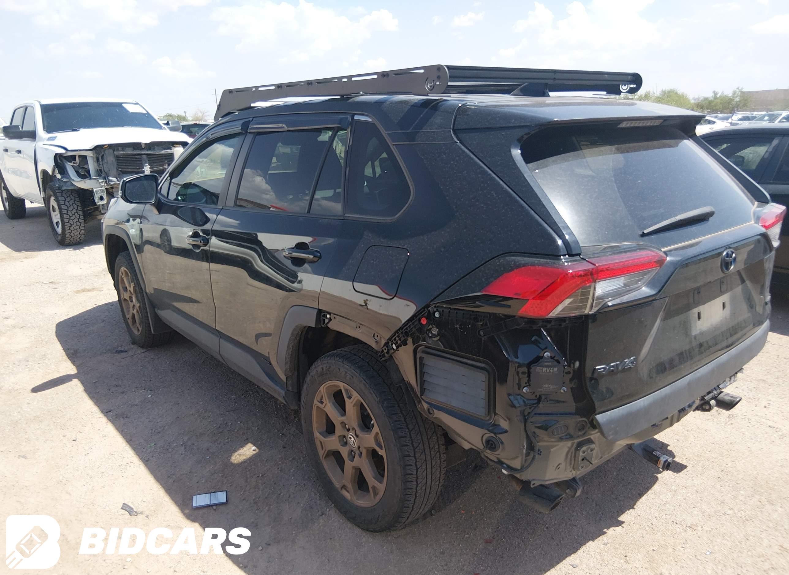 2024 Toyota RAV4, Hybrid Wood...