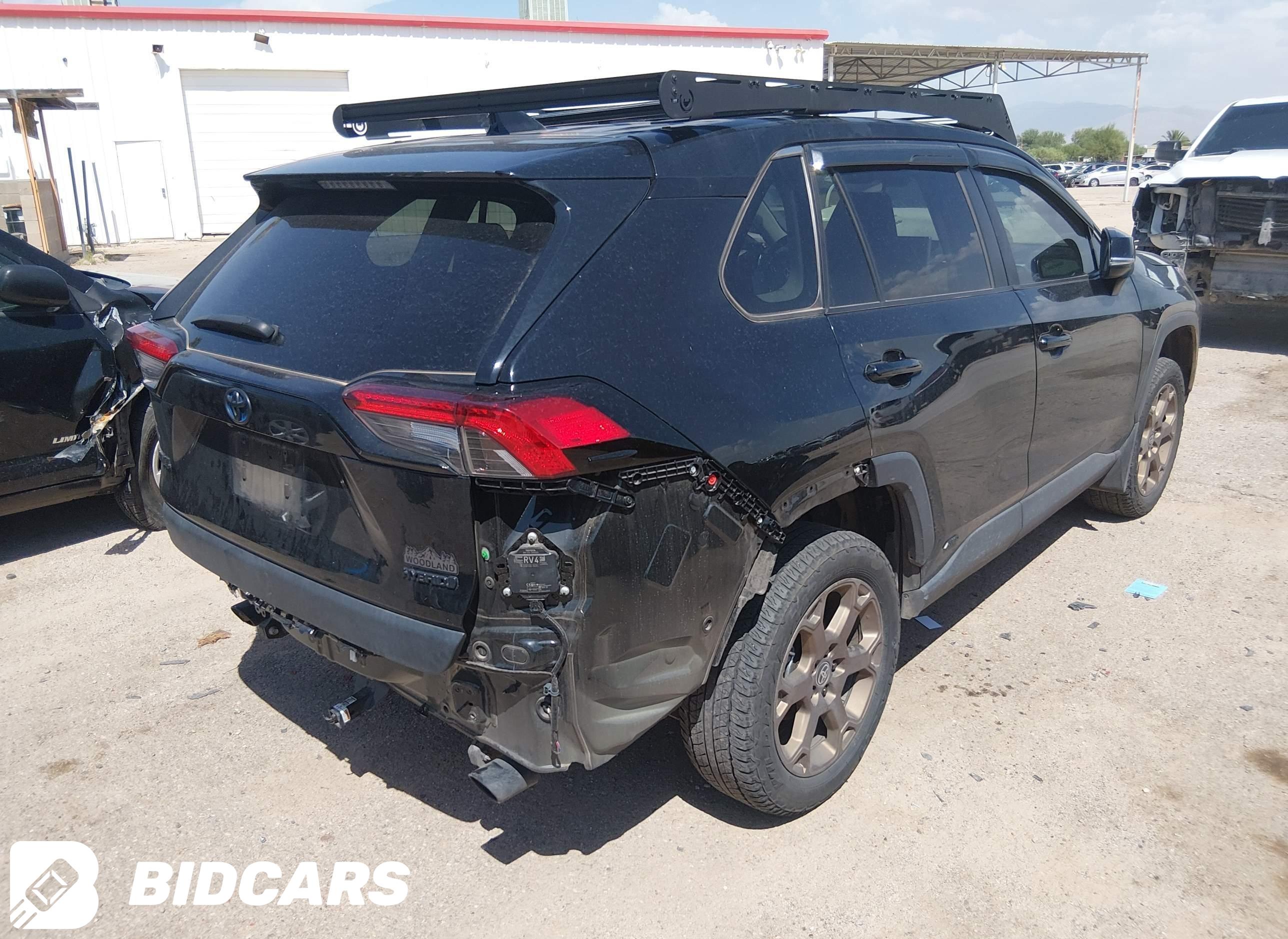2024 Toyota RAV4, Hybrid Wood...