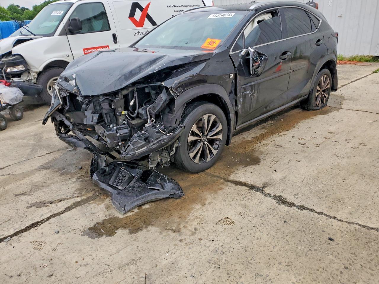 2019 Lexus NX, F Sport