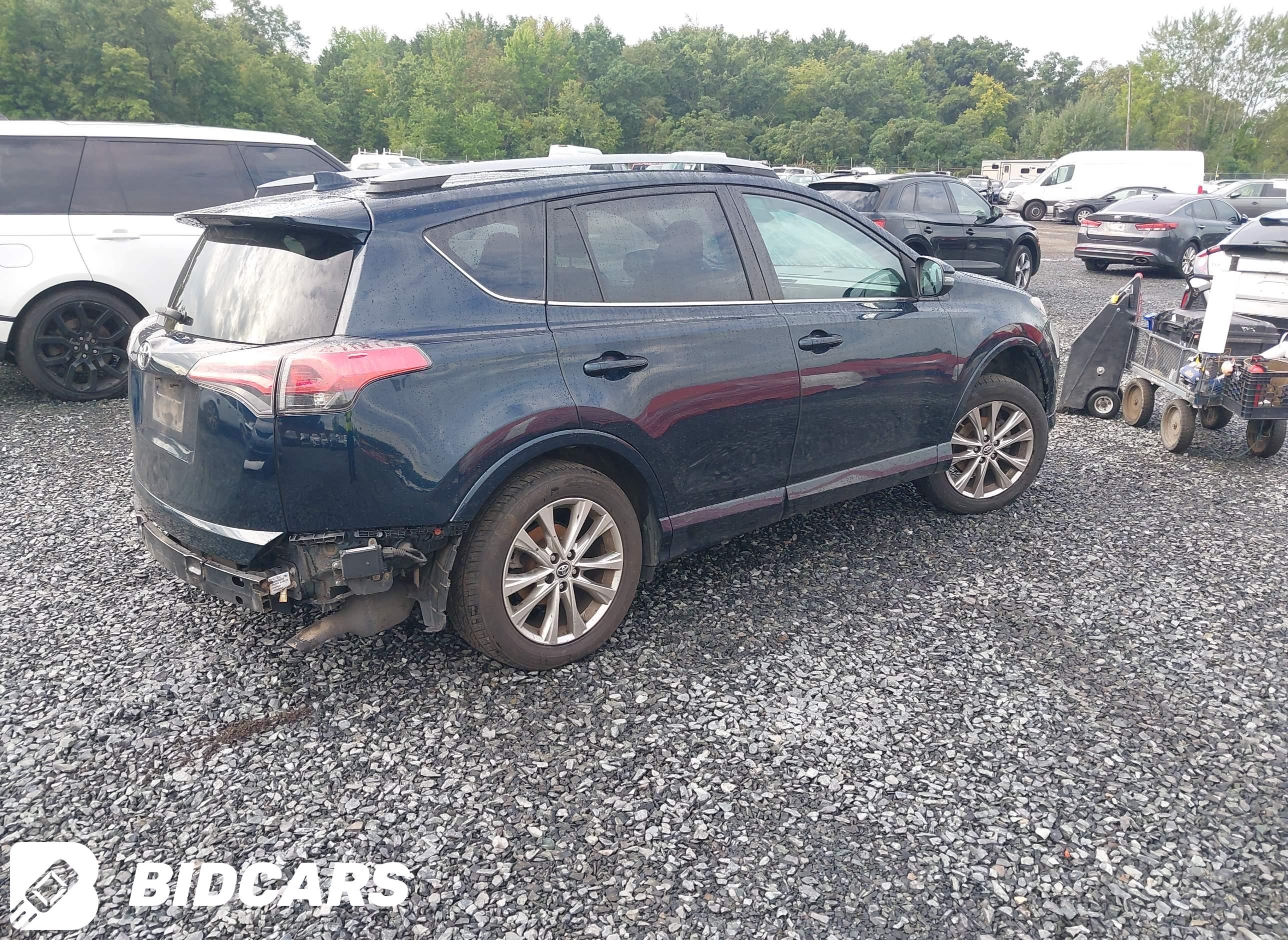2018 Toyota RAV4, Platinum