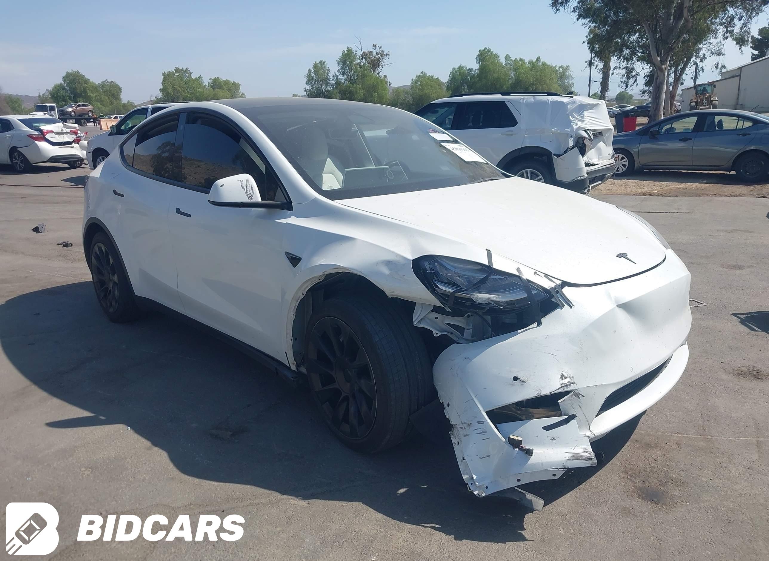 2021 Tesla Model Y, Long Rang...
