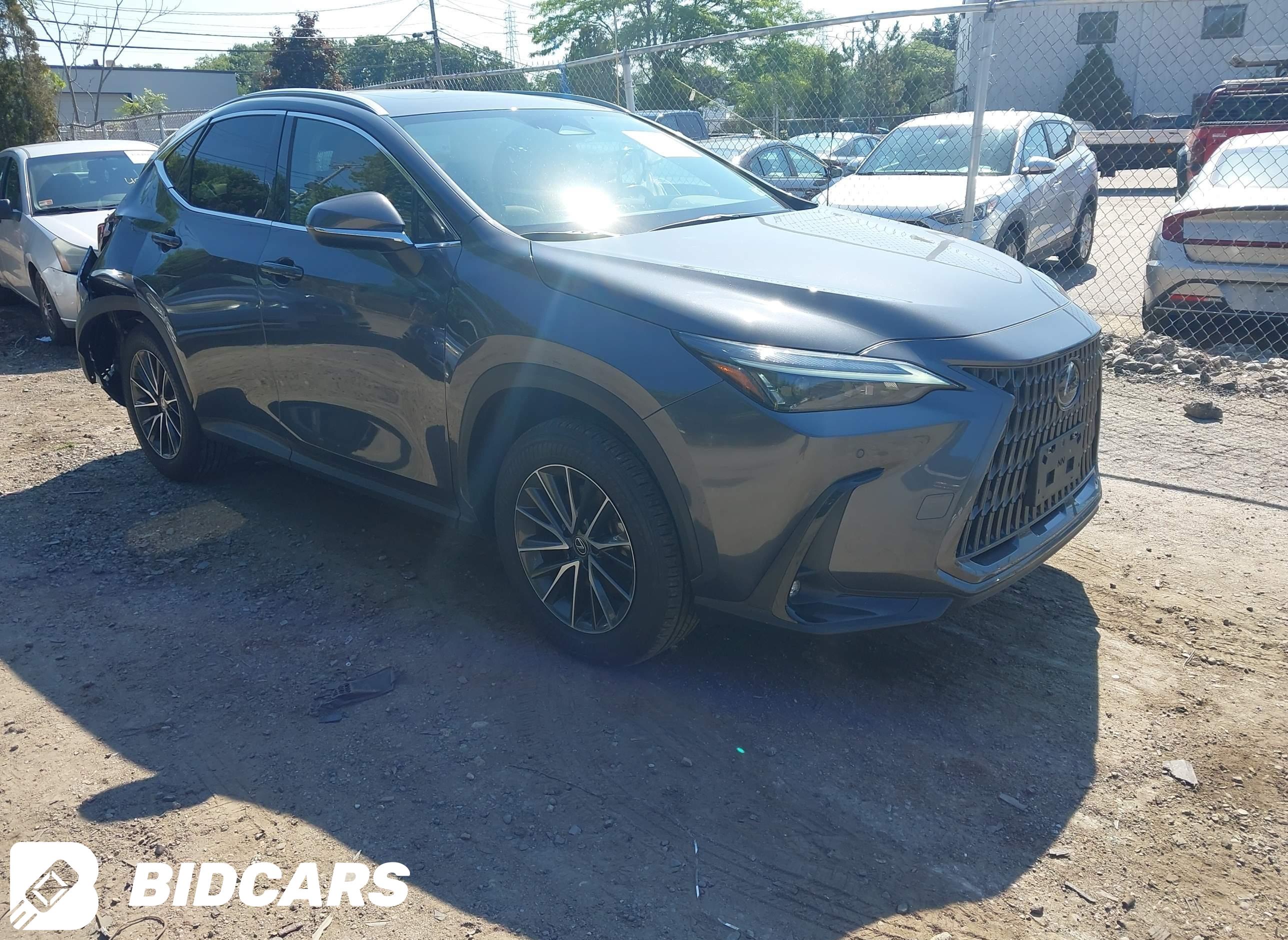 2025 Lexus NX 350, Premium
