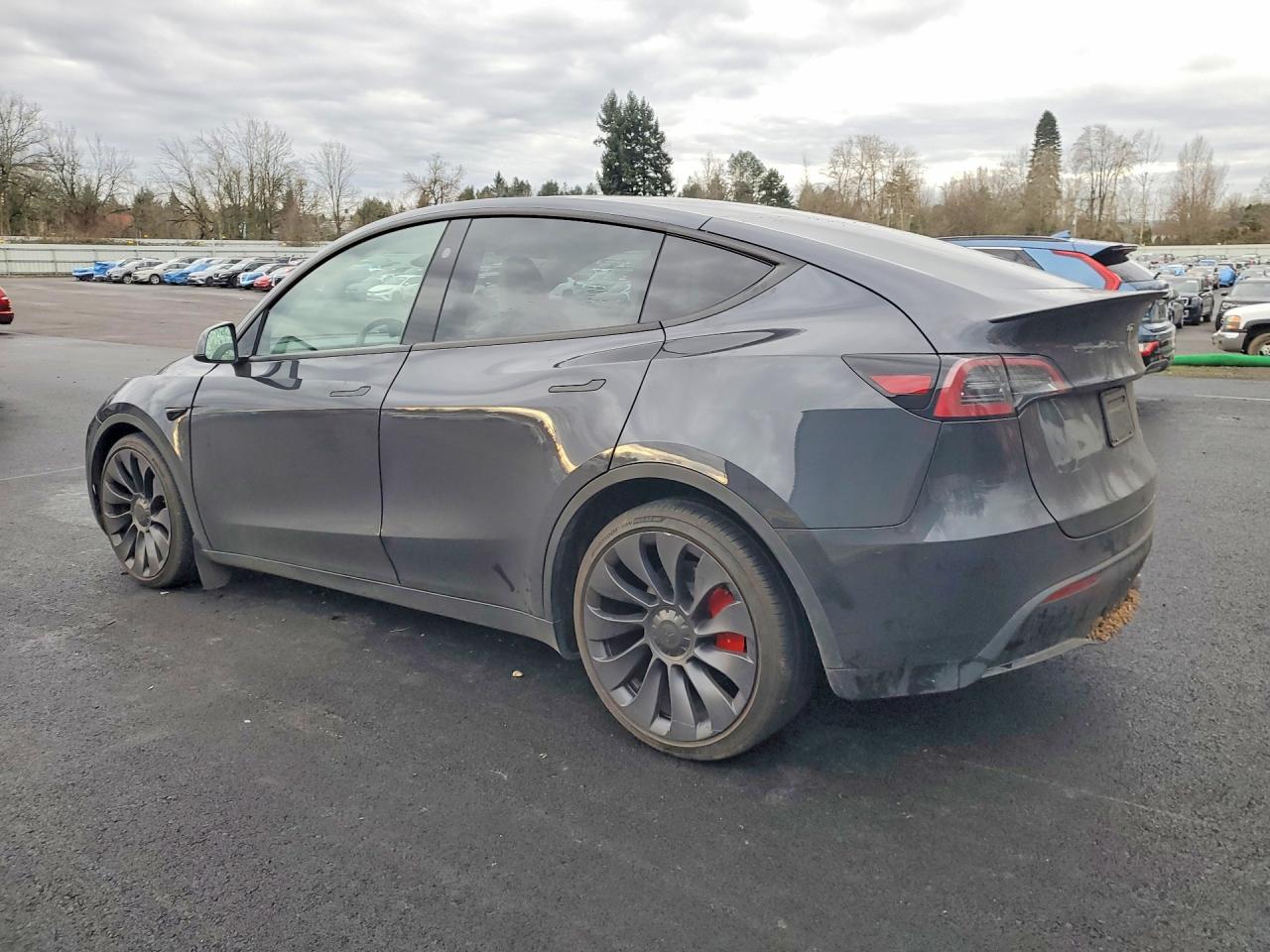 2024 Tesla MODEL Y