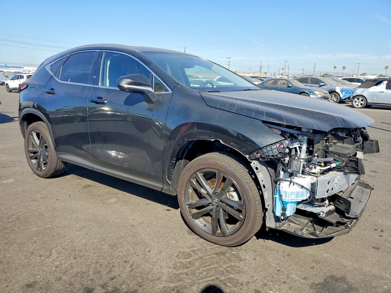 2025 Lexus NX, Base